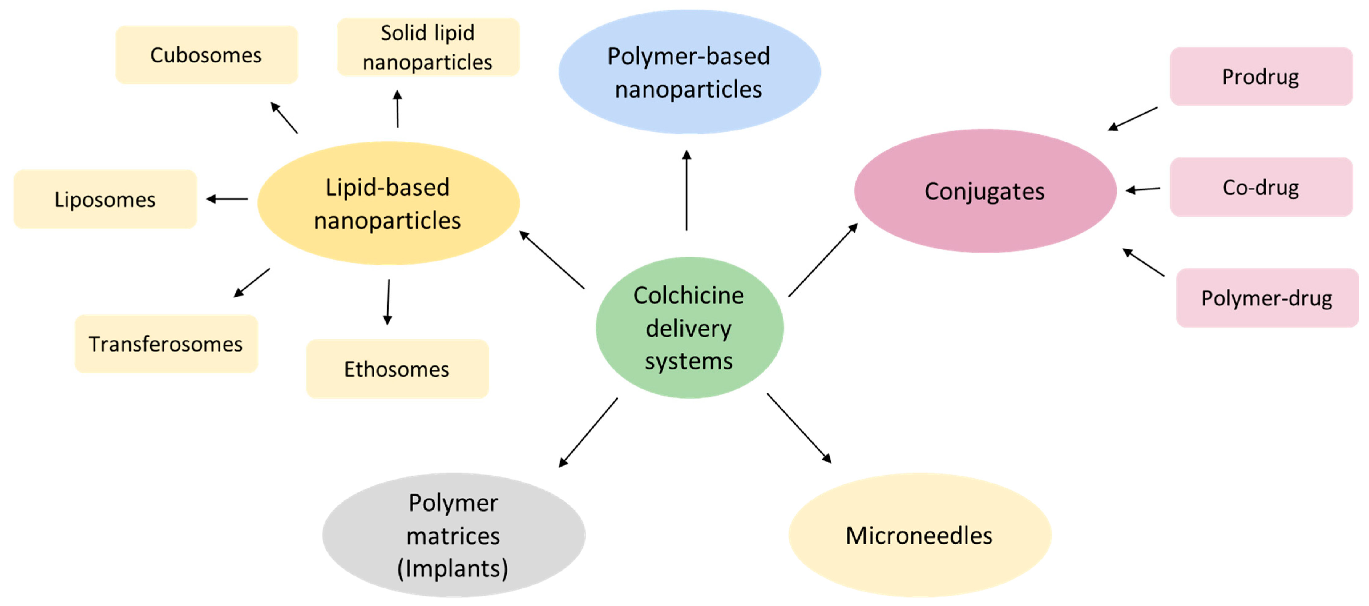 Ijms 26 07591 g003 Ijms 26 07591 g003