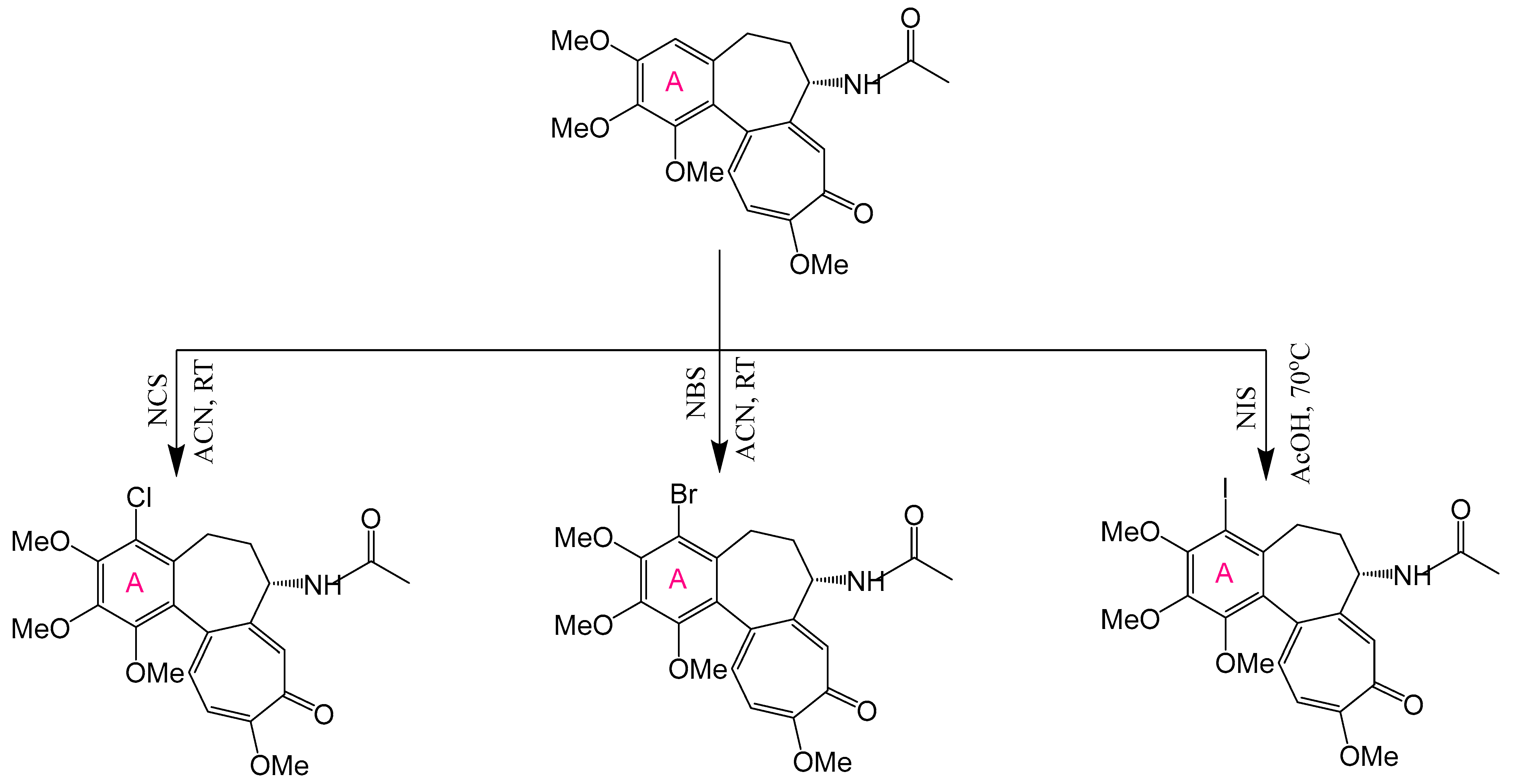 Ijms 26 07591 g006 Ijms 26 07591 g006