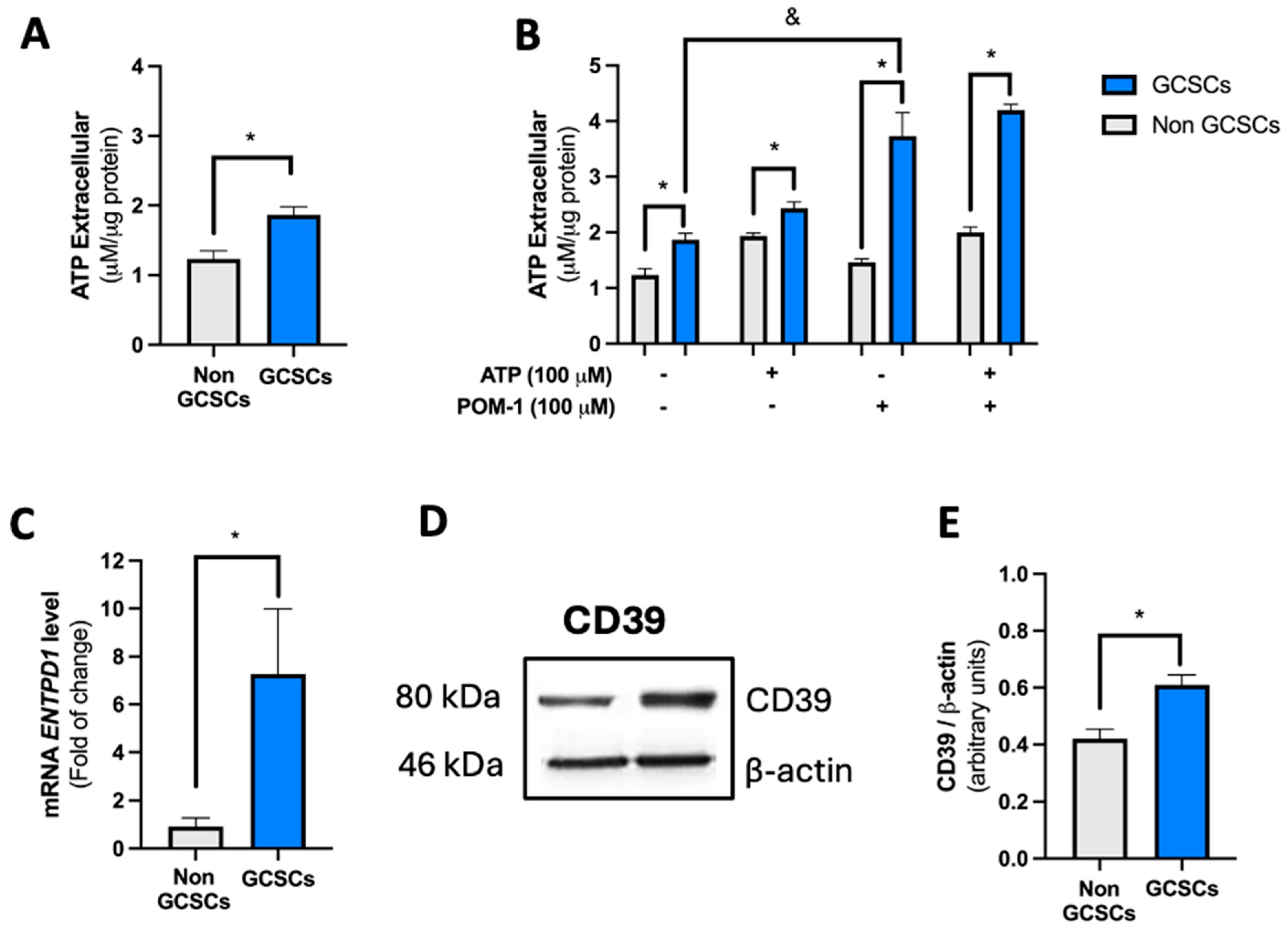 Ijms 26 07594 g002 Ijms 26 07594 g002