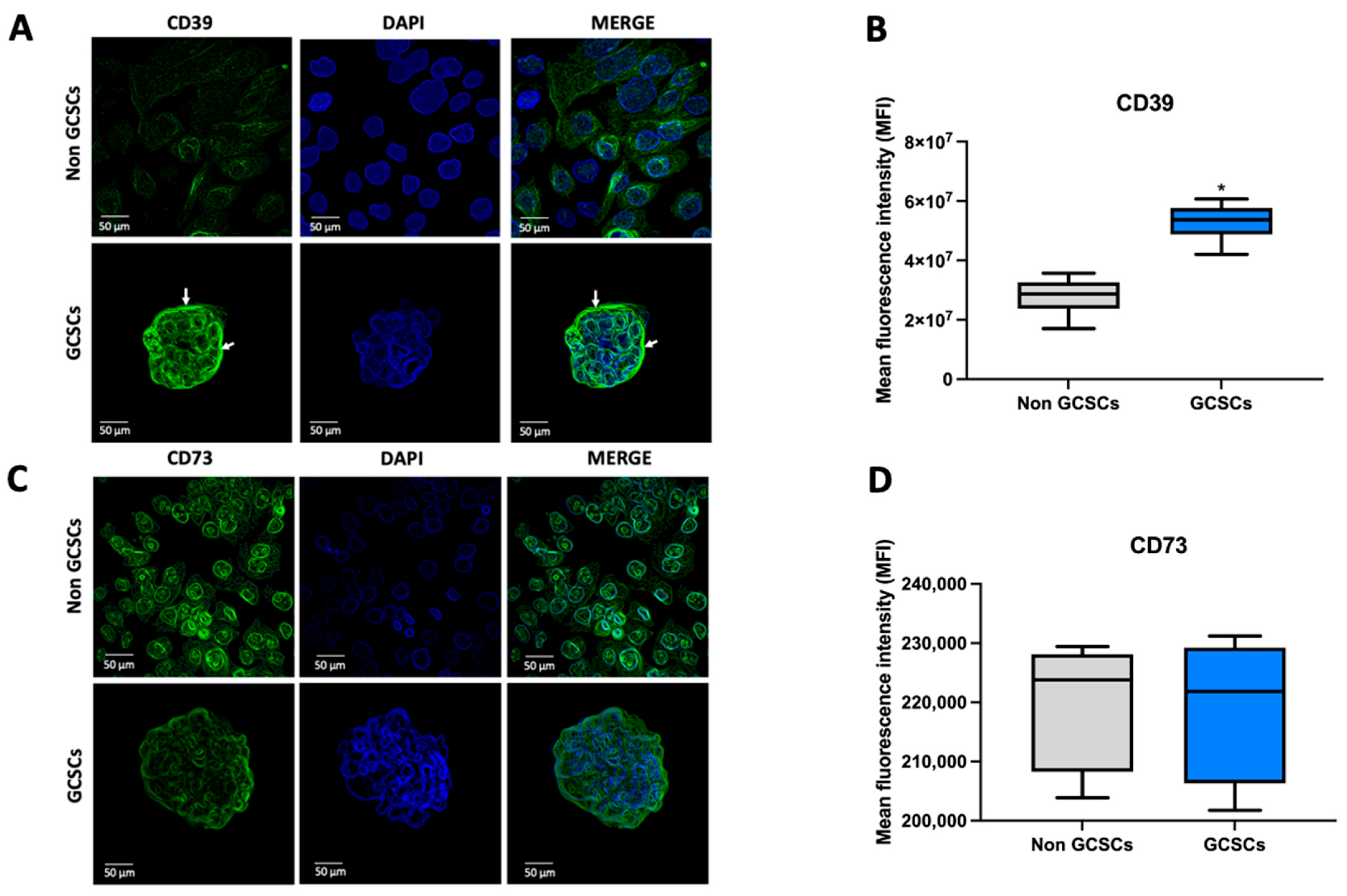 Ijms 26 07594 g003 Ijms 26 07594 g003