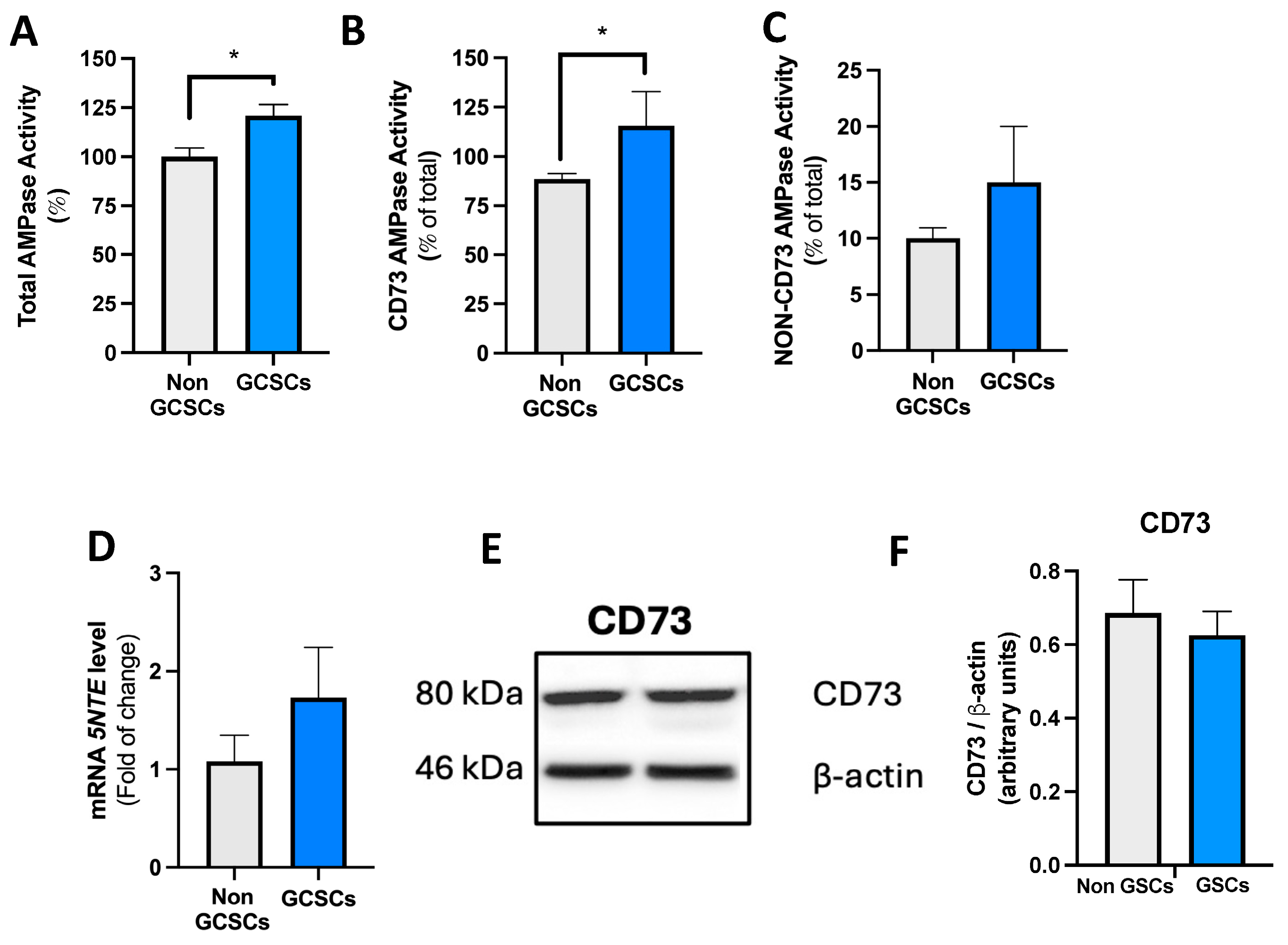Ijms 26 07594 g004 Ijms 26 07594 g004