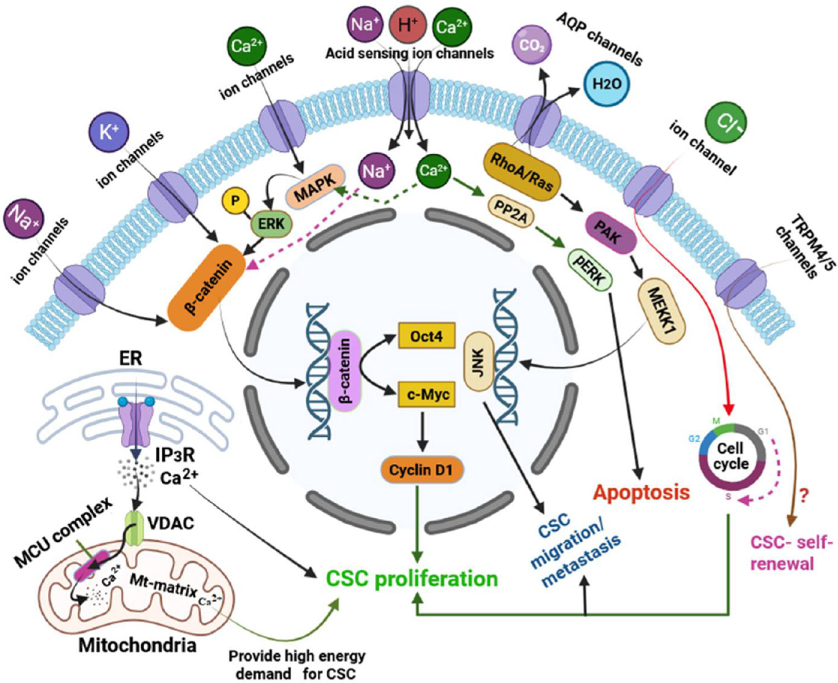 Ijms 26 07595 g001 Ijms 26 07595 g001