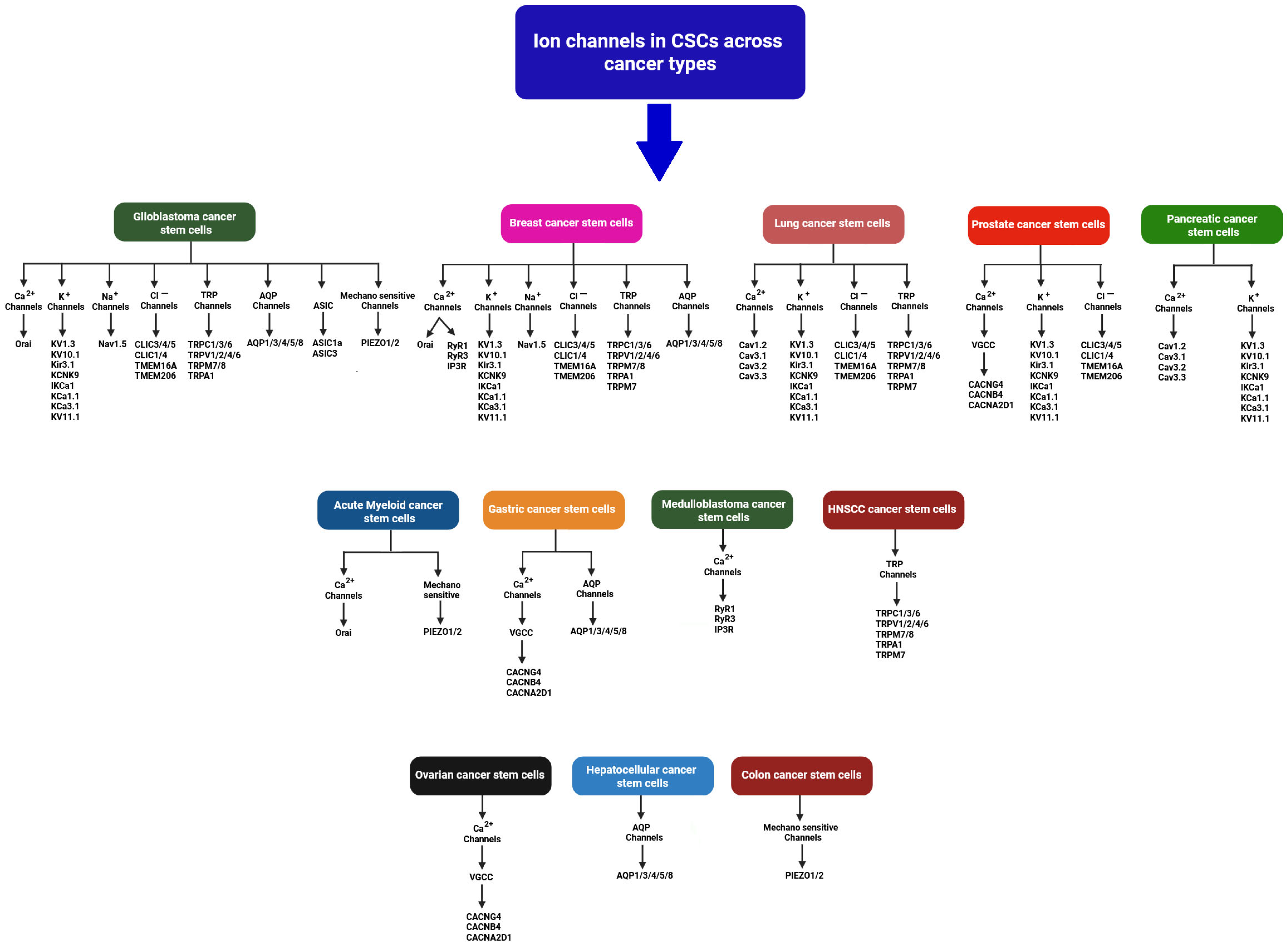 Ijms 26 07595 g002 Ijms 26 07595 g002