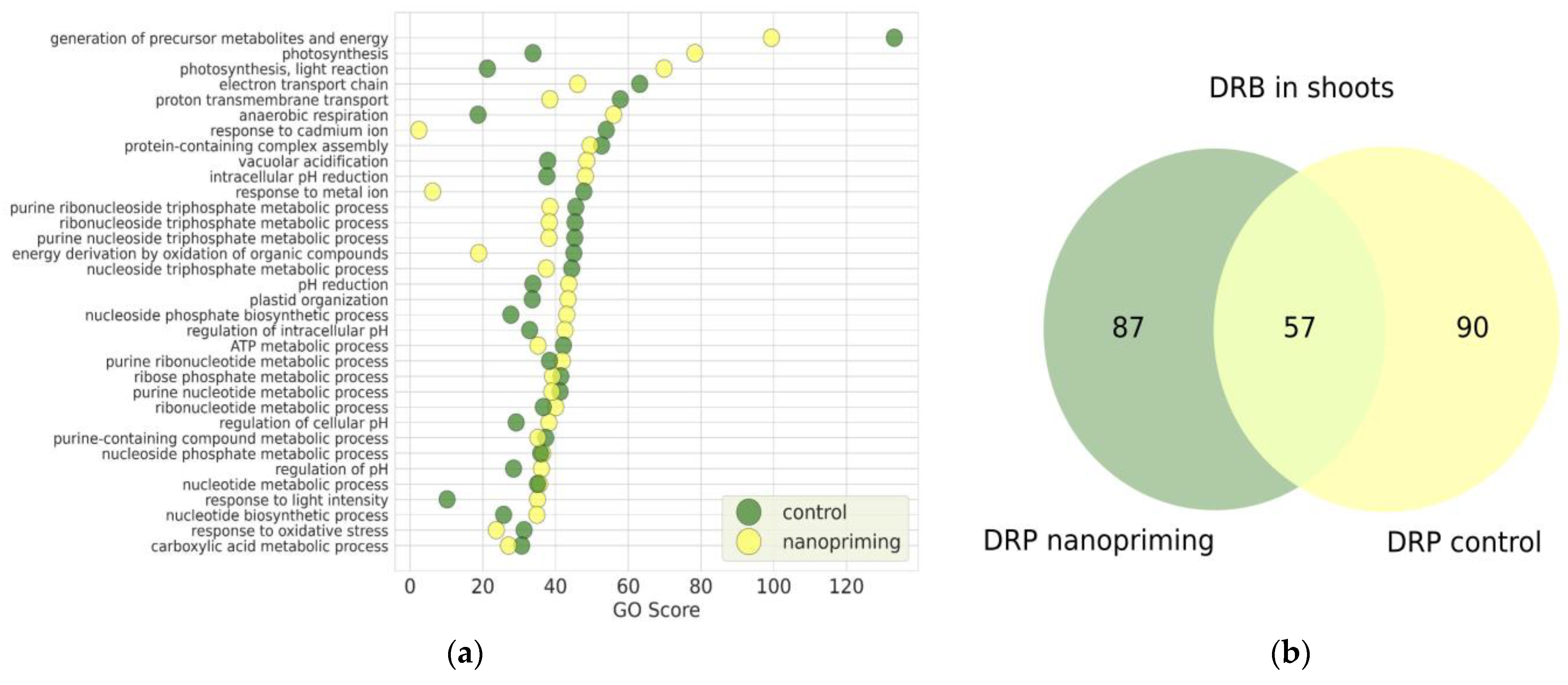 Ijms 26 07608 g002 Ijms 26 07608 g002