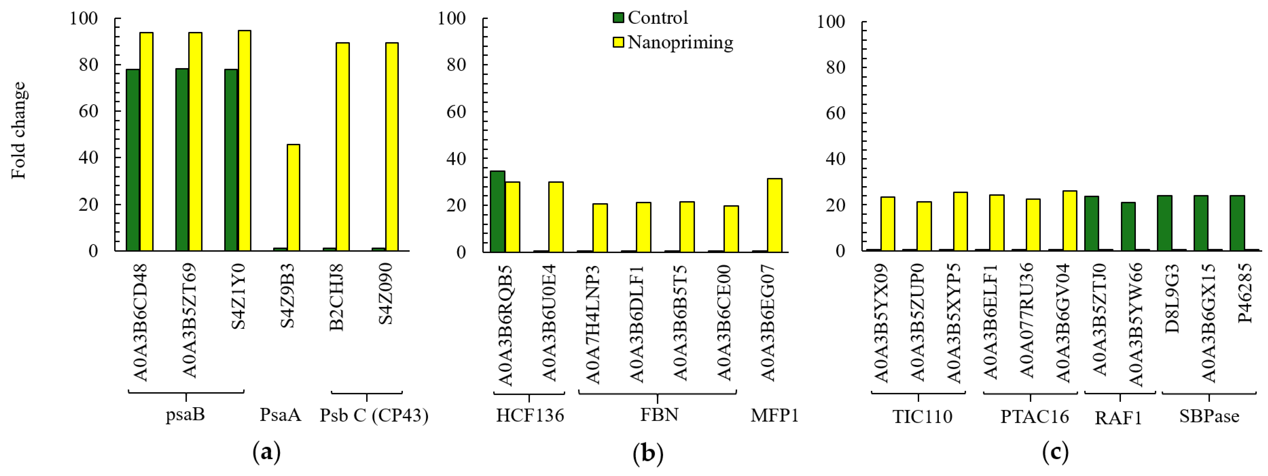 Ijms 26 07608 g003 Ijms 26 07608 g003