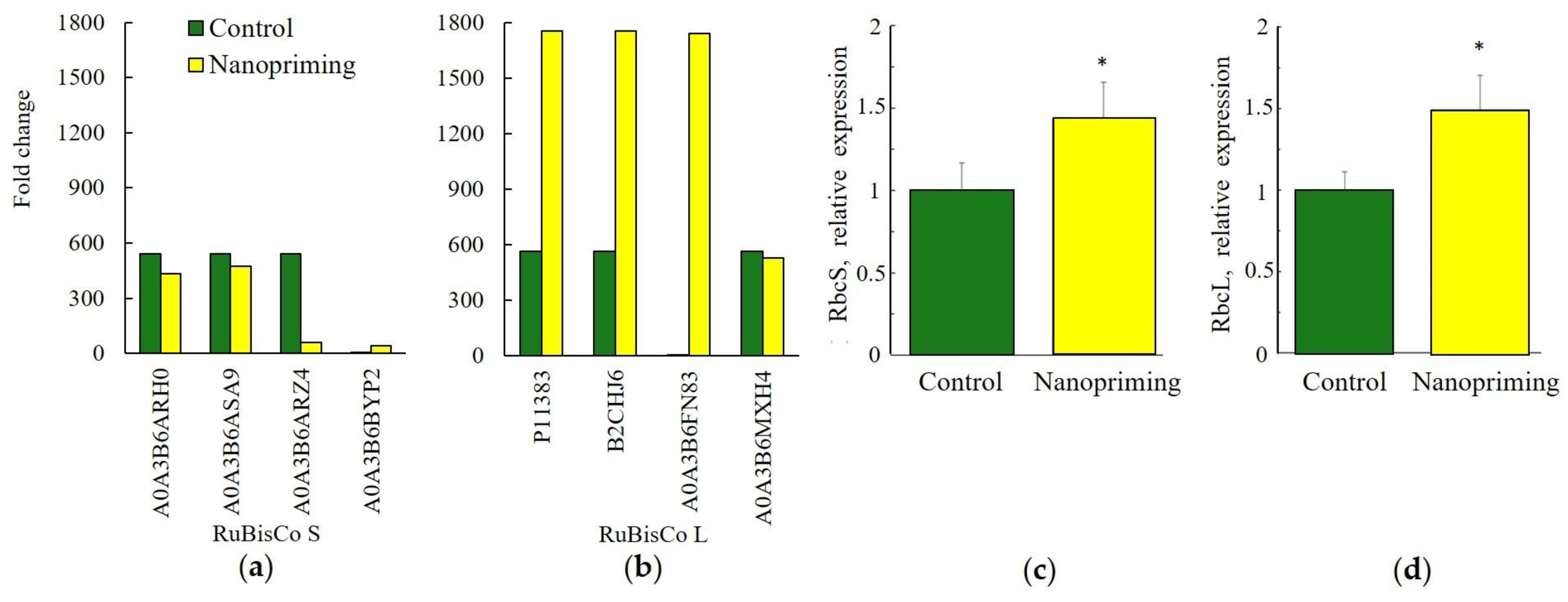 Ijms 26 07608 g005 Ijms 26 07608 g005