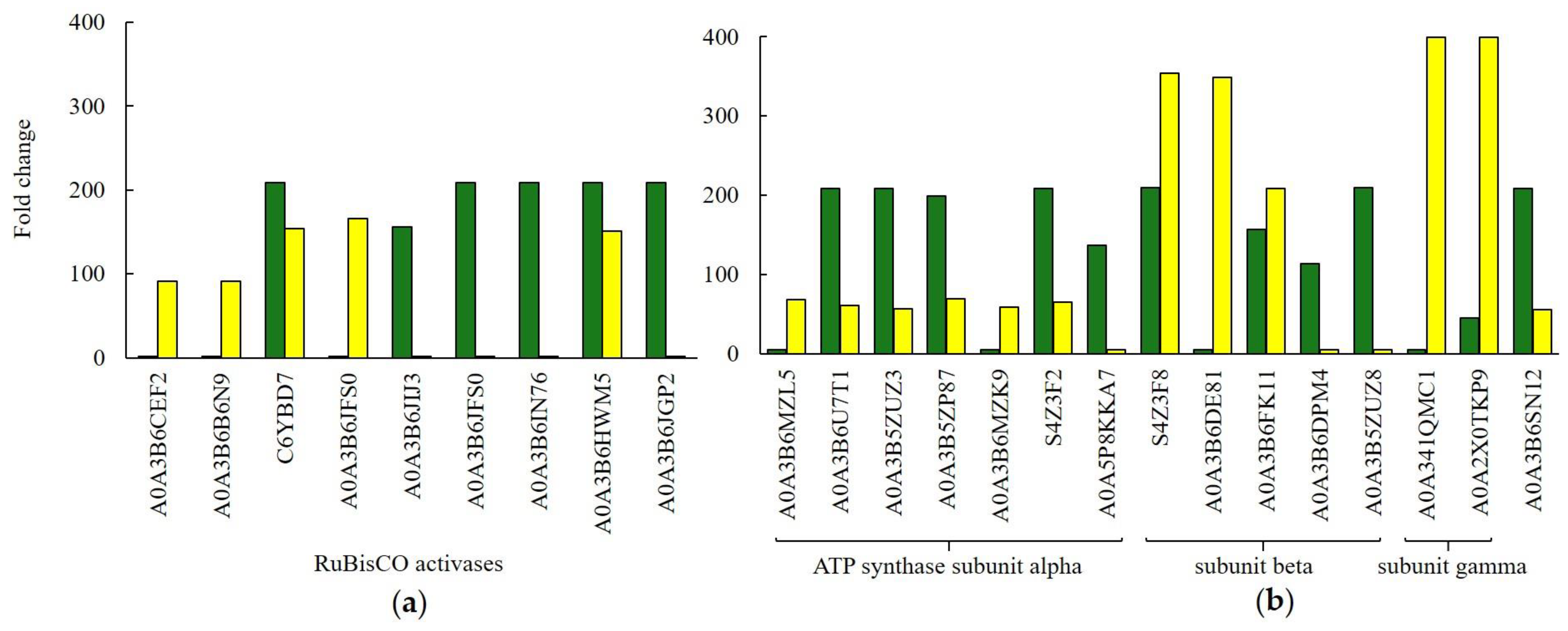 Ijms 26 07608 g006 Ijms 26 07608 g006