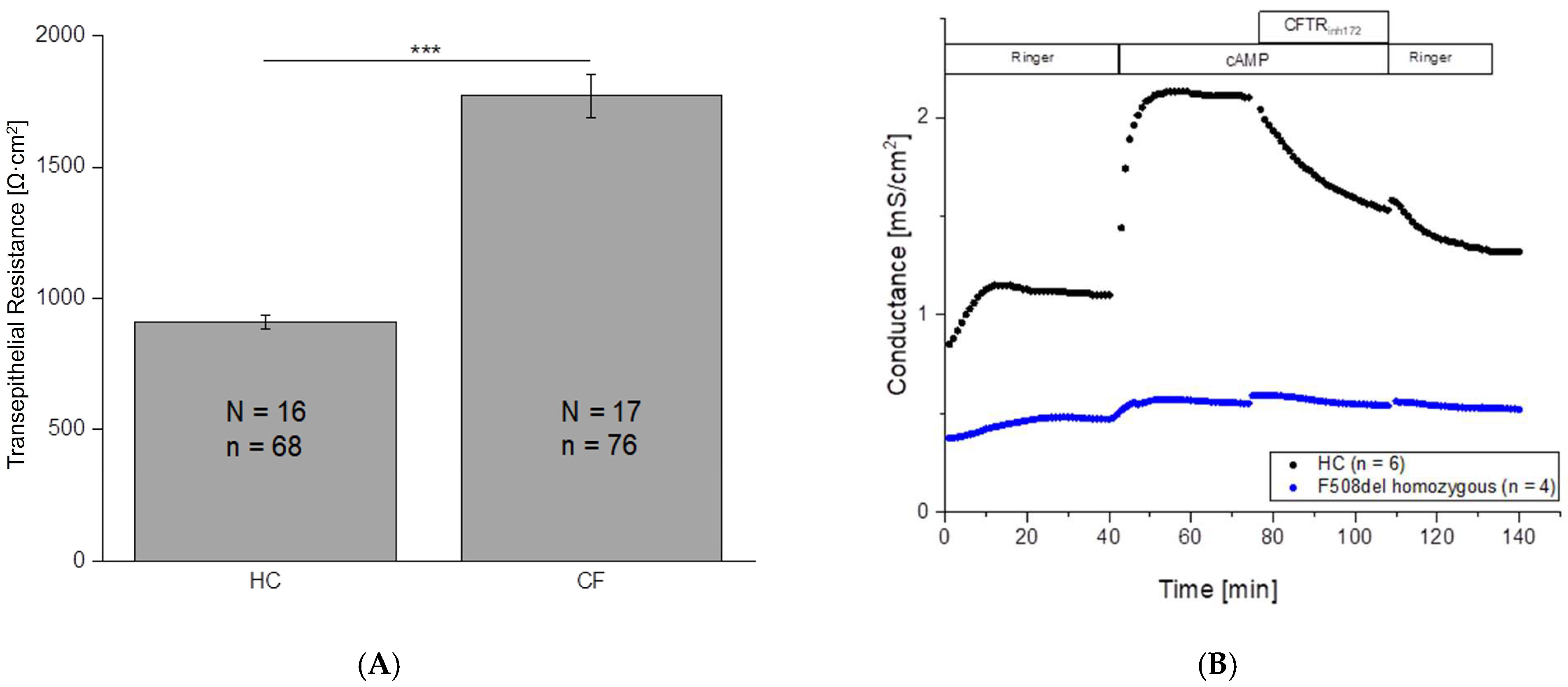 Ijms 26 07618 g002 Ijms 26 07618 g002