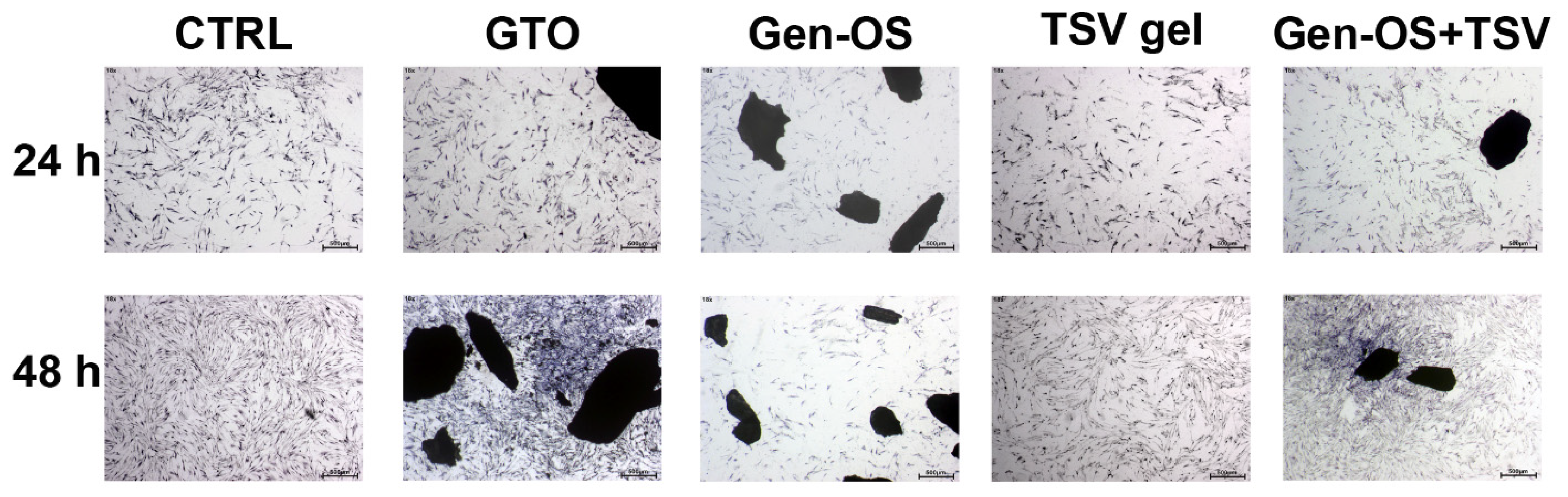 Ijms 26 07621 g002 Ijms 26 07621 g002