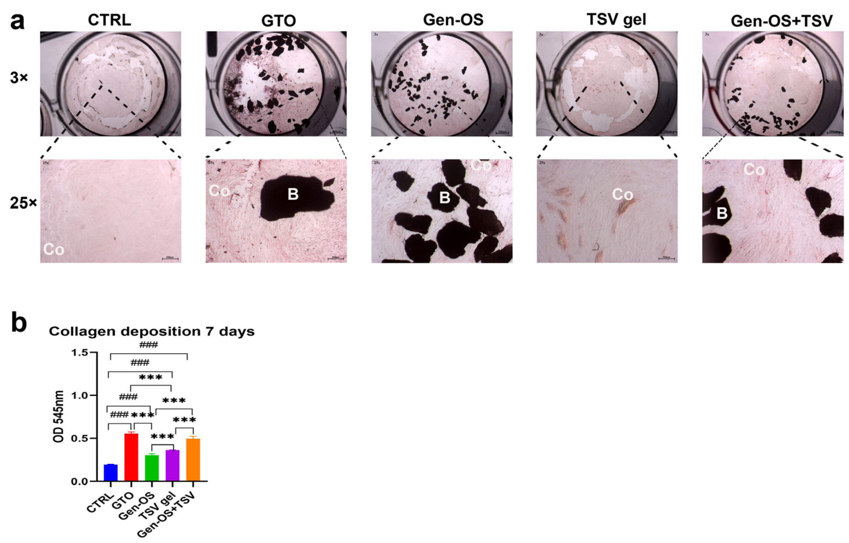 Ijms 26 07621 g003 Ijms 26 07621 g003