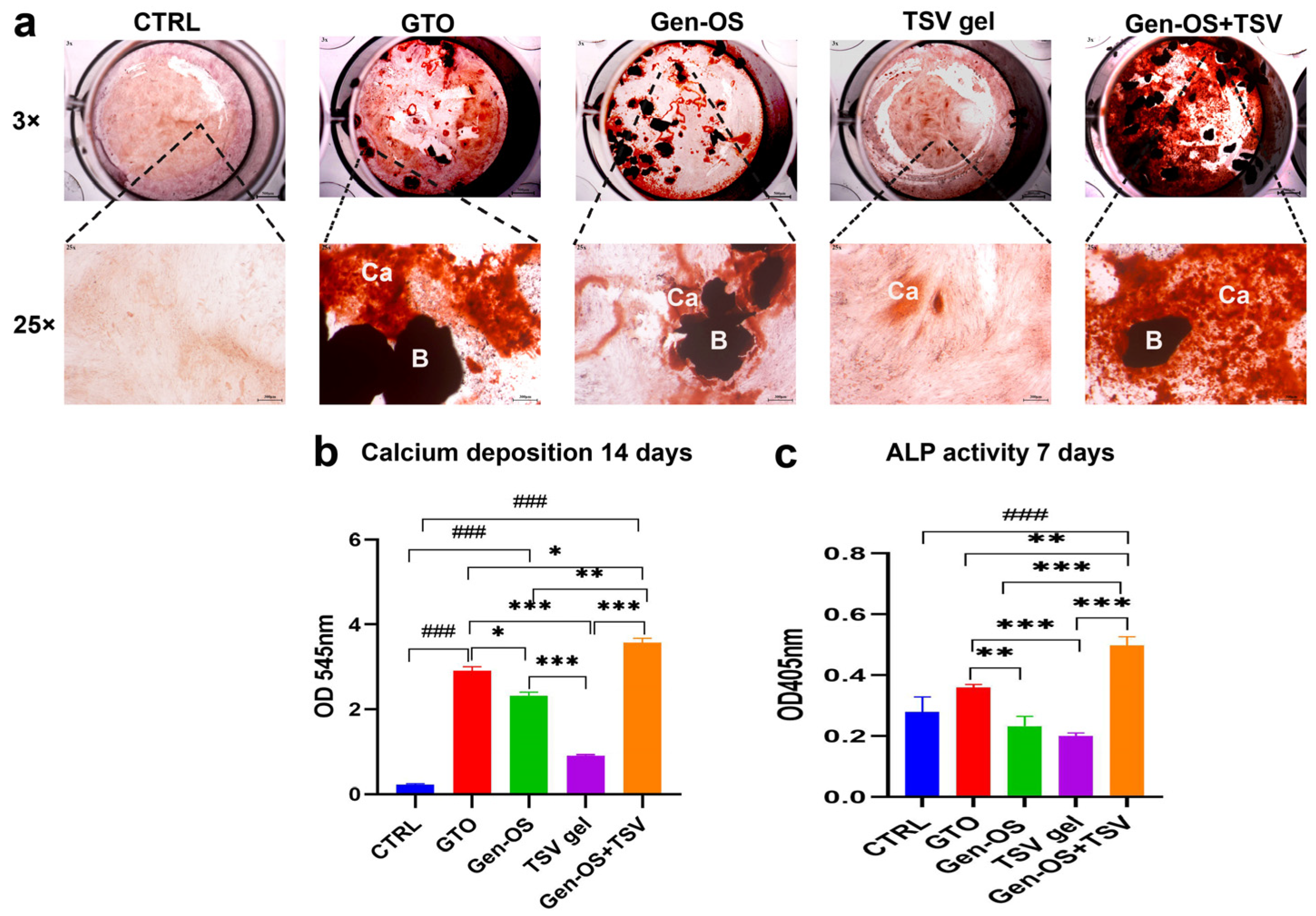 Ijms 26 07621 g004 Ijms 26 07621 g004