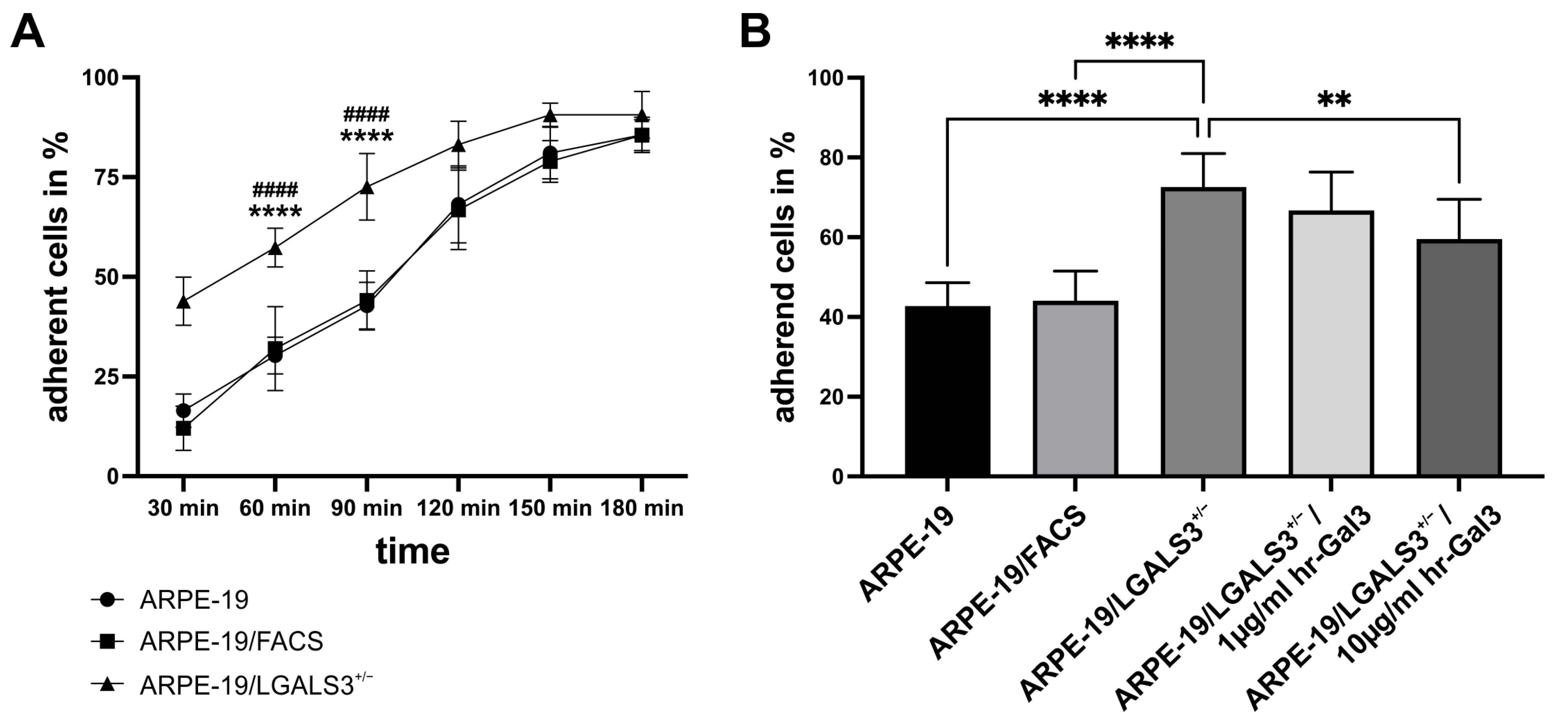 Ijms 26 07622 g005 Ijms 26 07622 g005