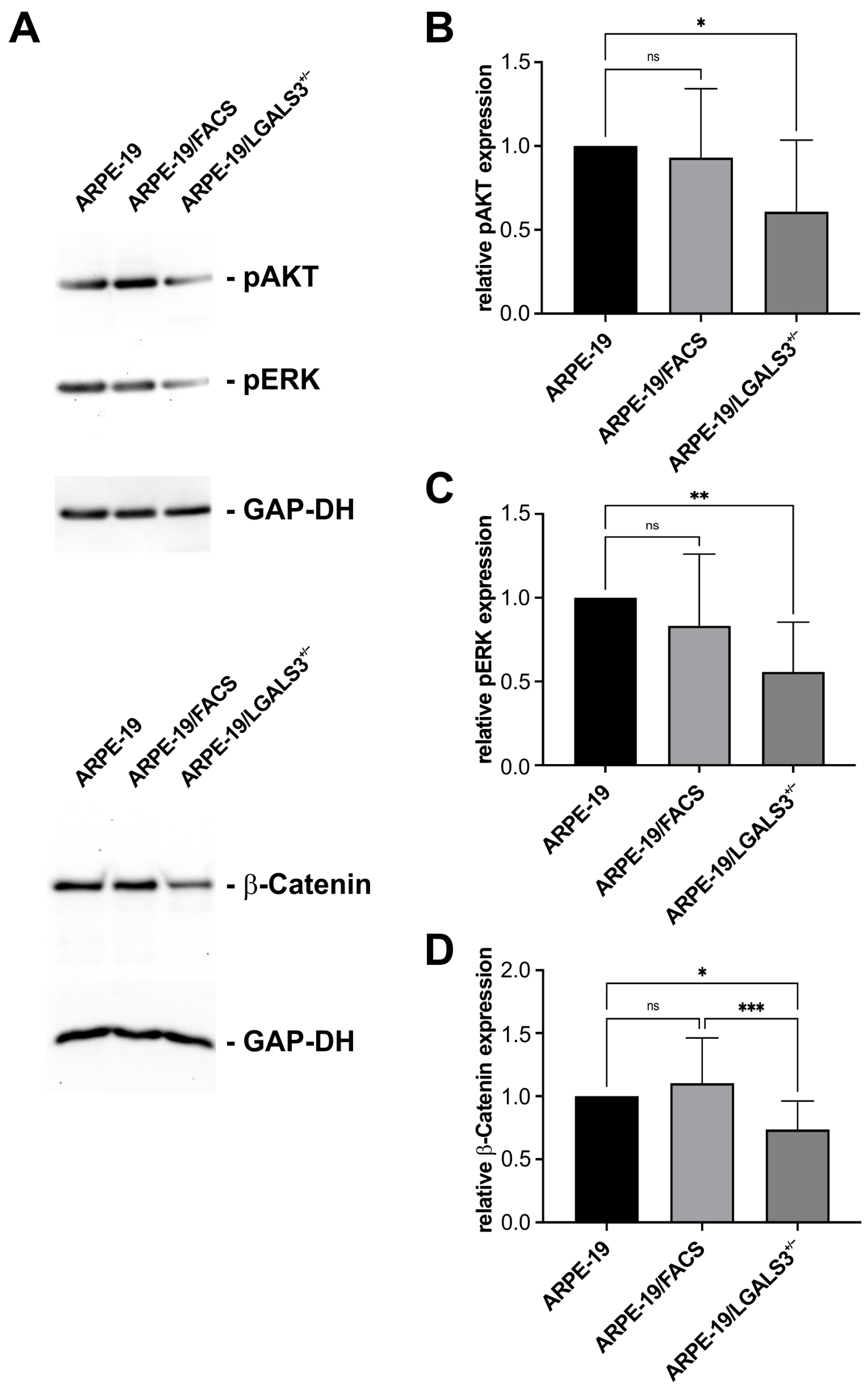 Ijms 26 07622 g007 Ijms 26 07622 g007