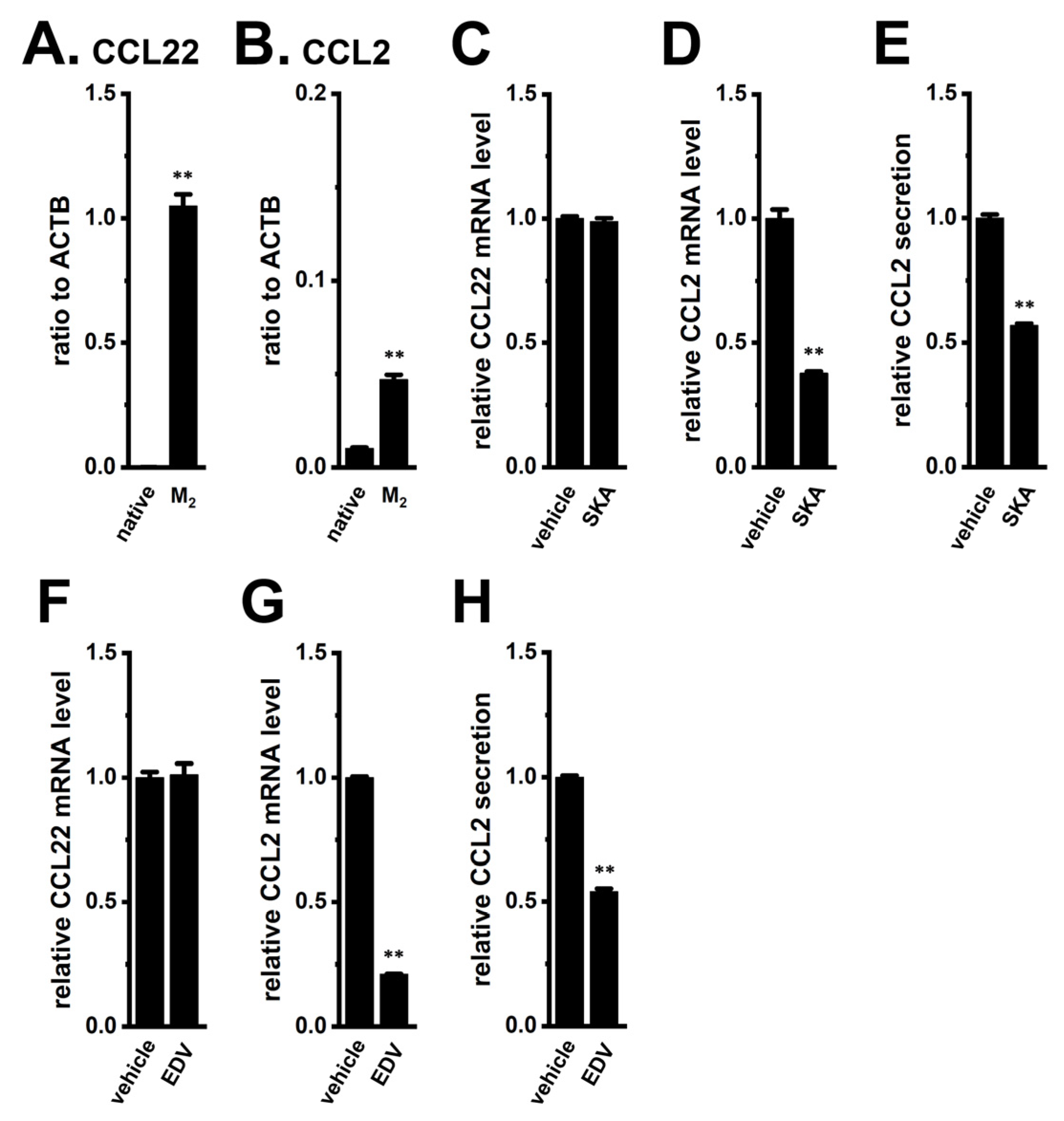 Ijms 26 07624 g001 Ijms 26 07624 g001
