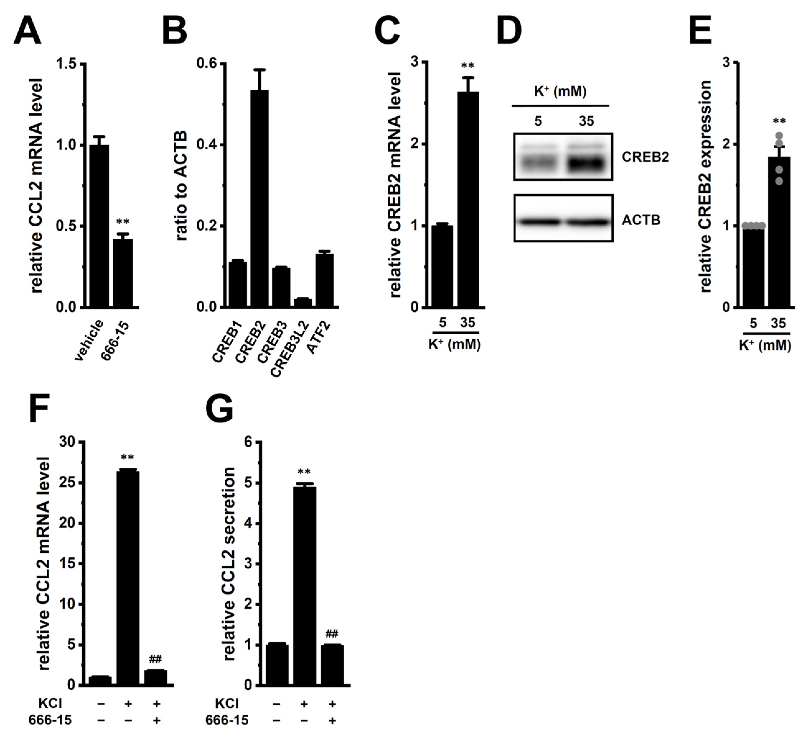 Ijms 26 07624 g006 Ijms 26 07624 g006