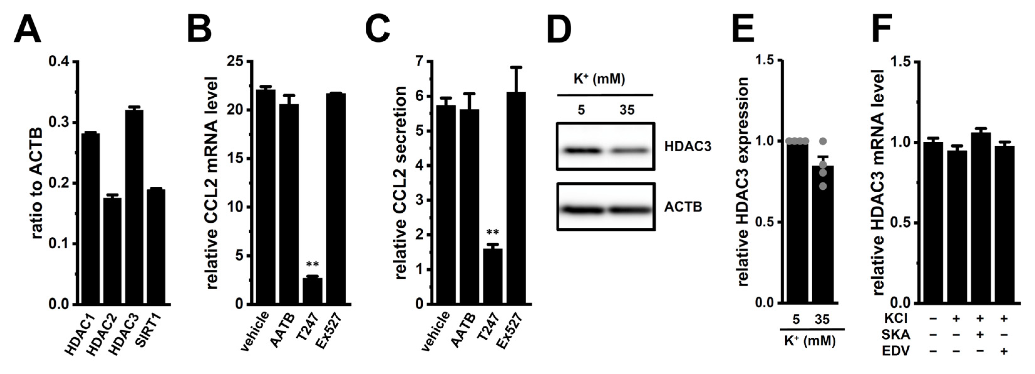 Ijms 26 07624 g008 Ijms 26 07624 g008