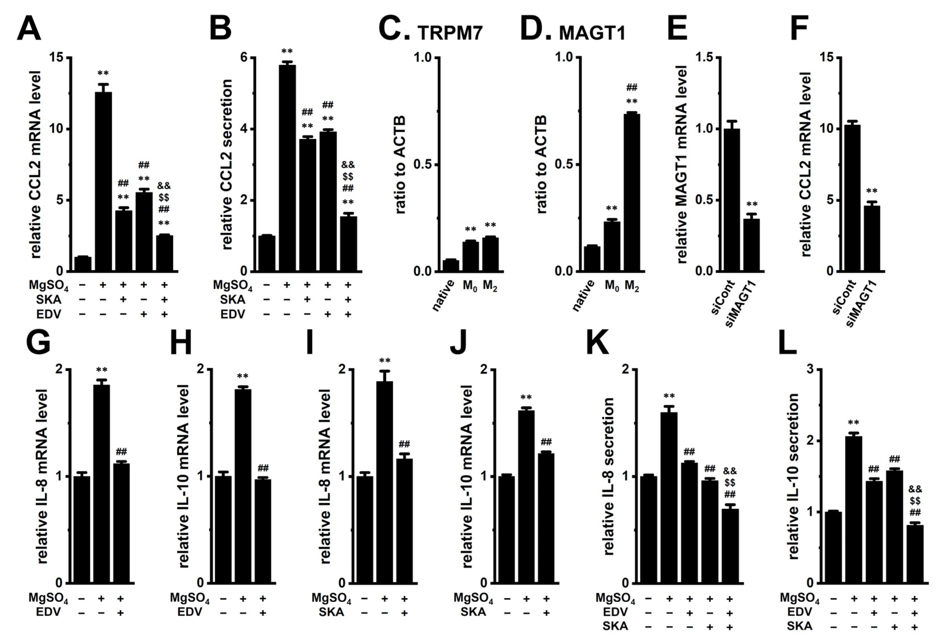 Ijms 26 07624 g009 Ijms 26 07624 g009