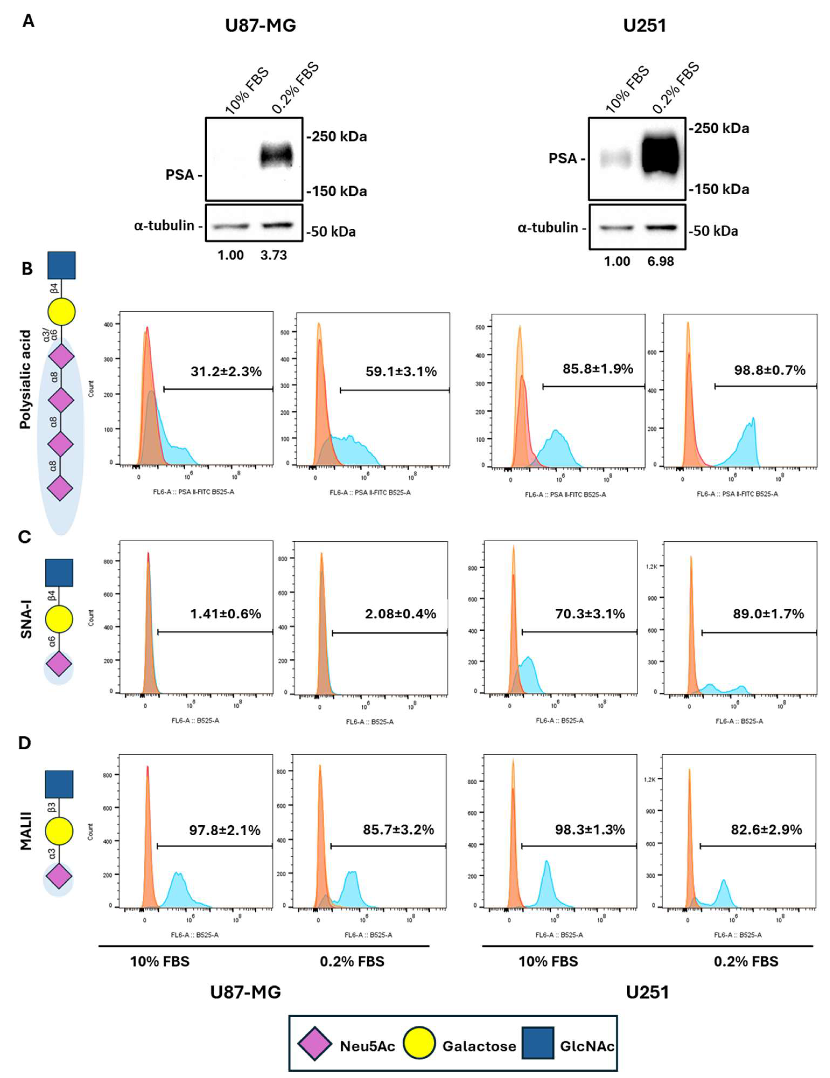 Ijms 26 07625 g003 Ijms 26 07625 g003