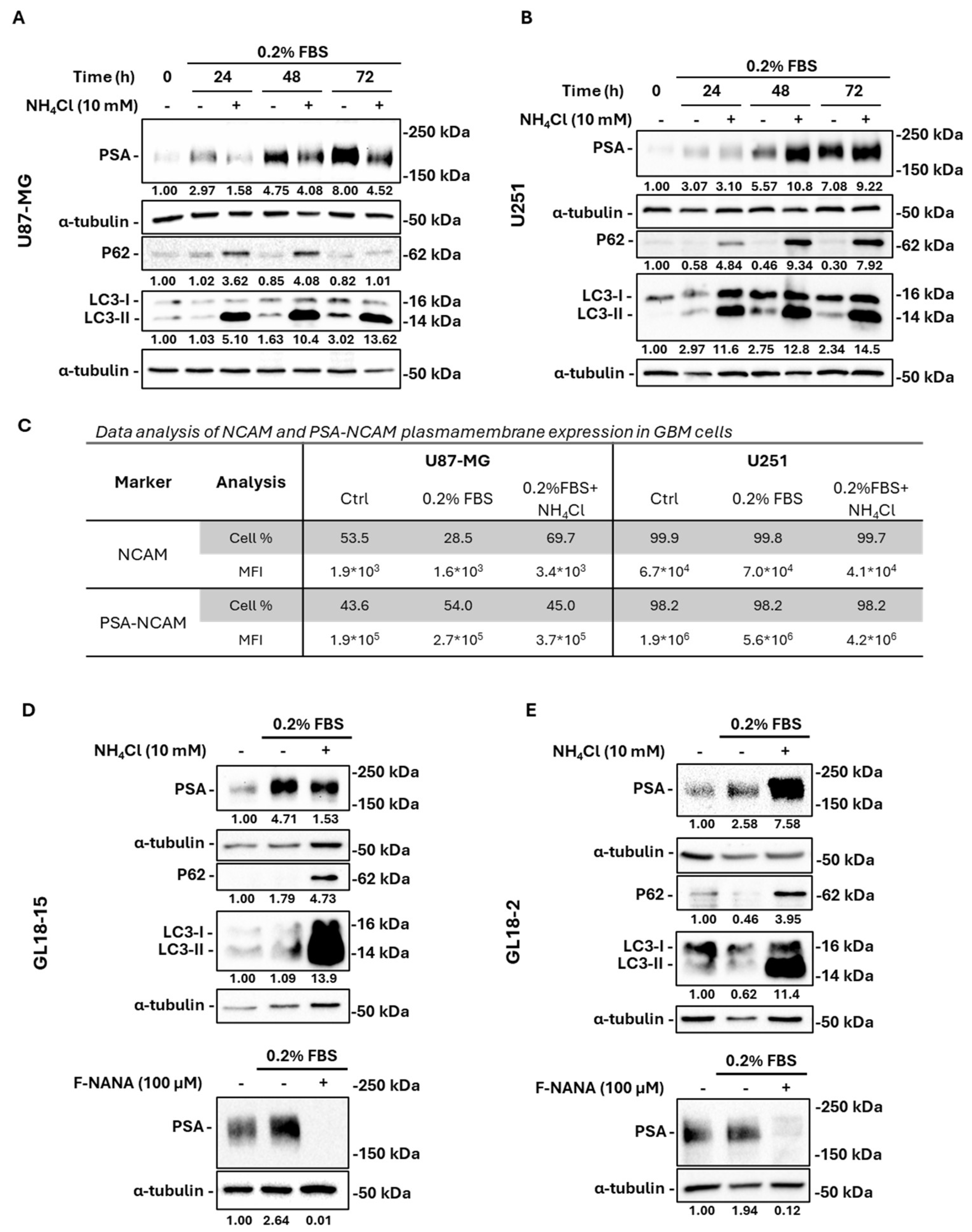 Ijms 26 07625 g004 Ijms 26 07625 g004