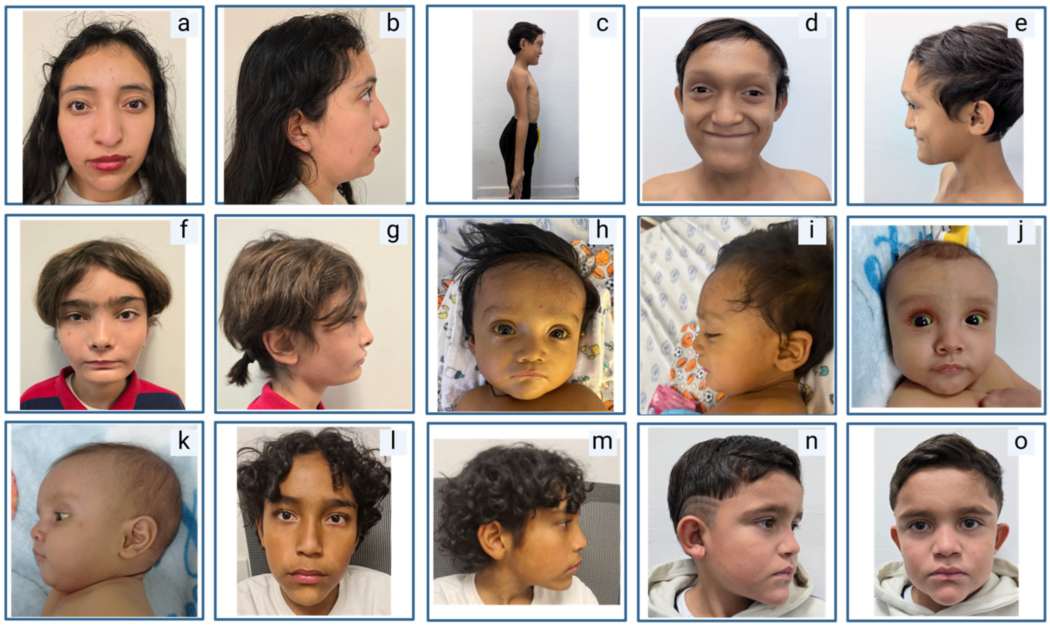 Ijms 26 07626 g003 Ijms 26 07626 g003