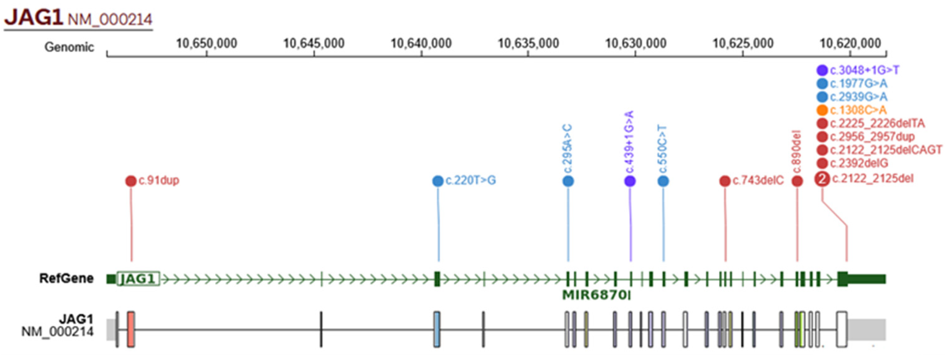 Ijms 26 07626 g004 Ijms 26 07626 g004