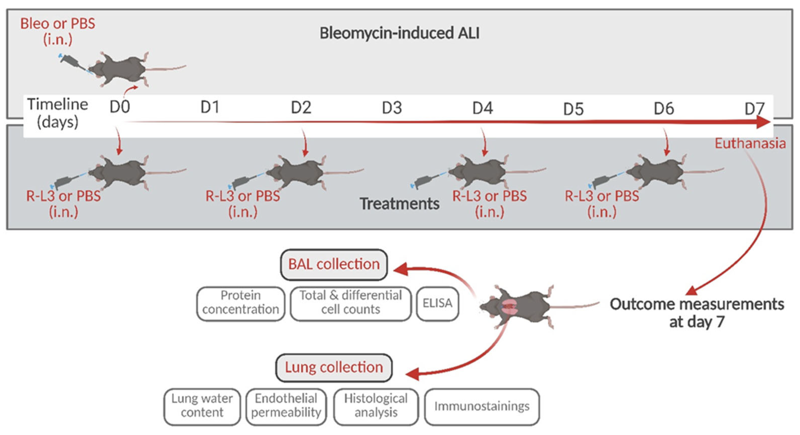 Ijms 26 07632 g001 Ijms 26 07632 g001