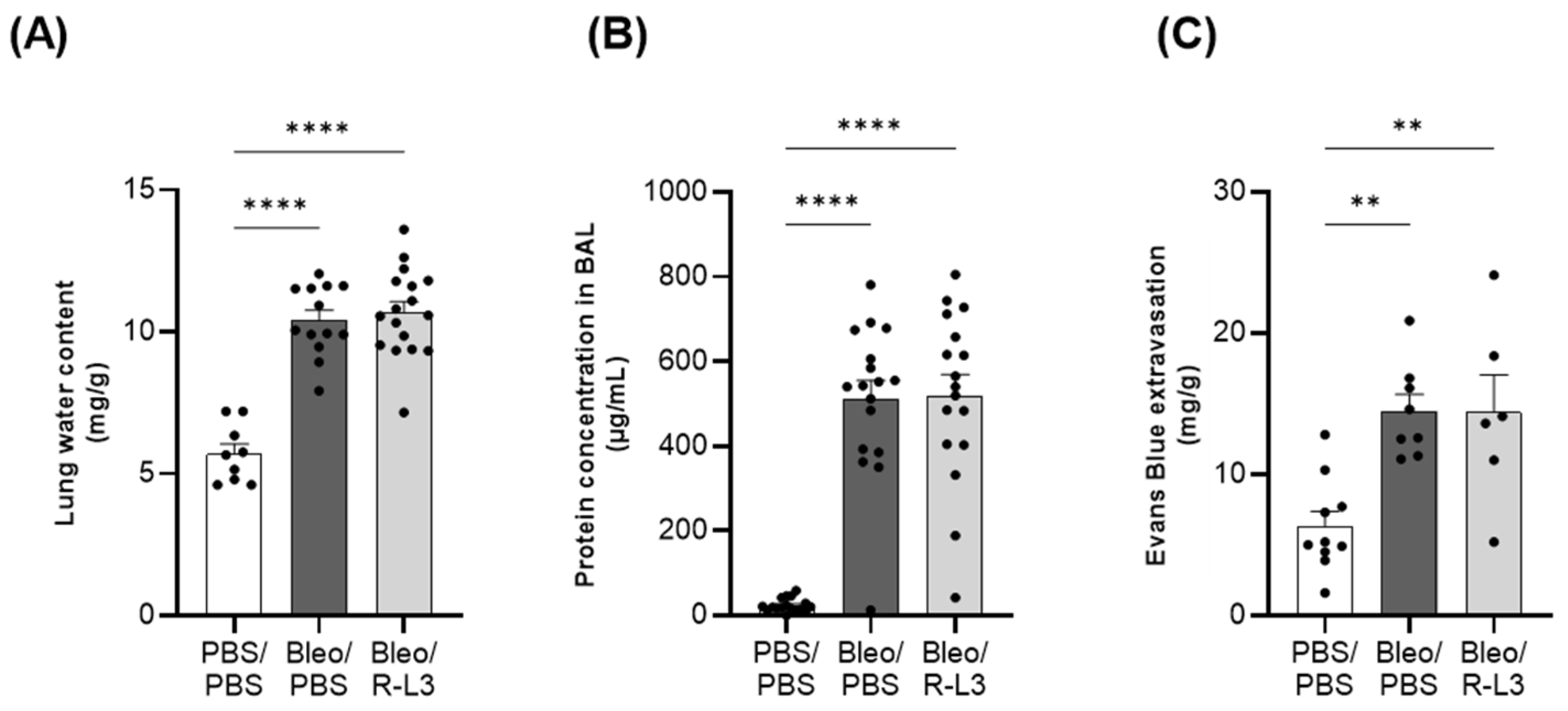 Ijms 26 07632 g002 Ijms 26 07632 g002