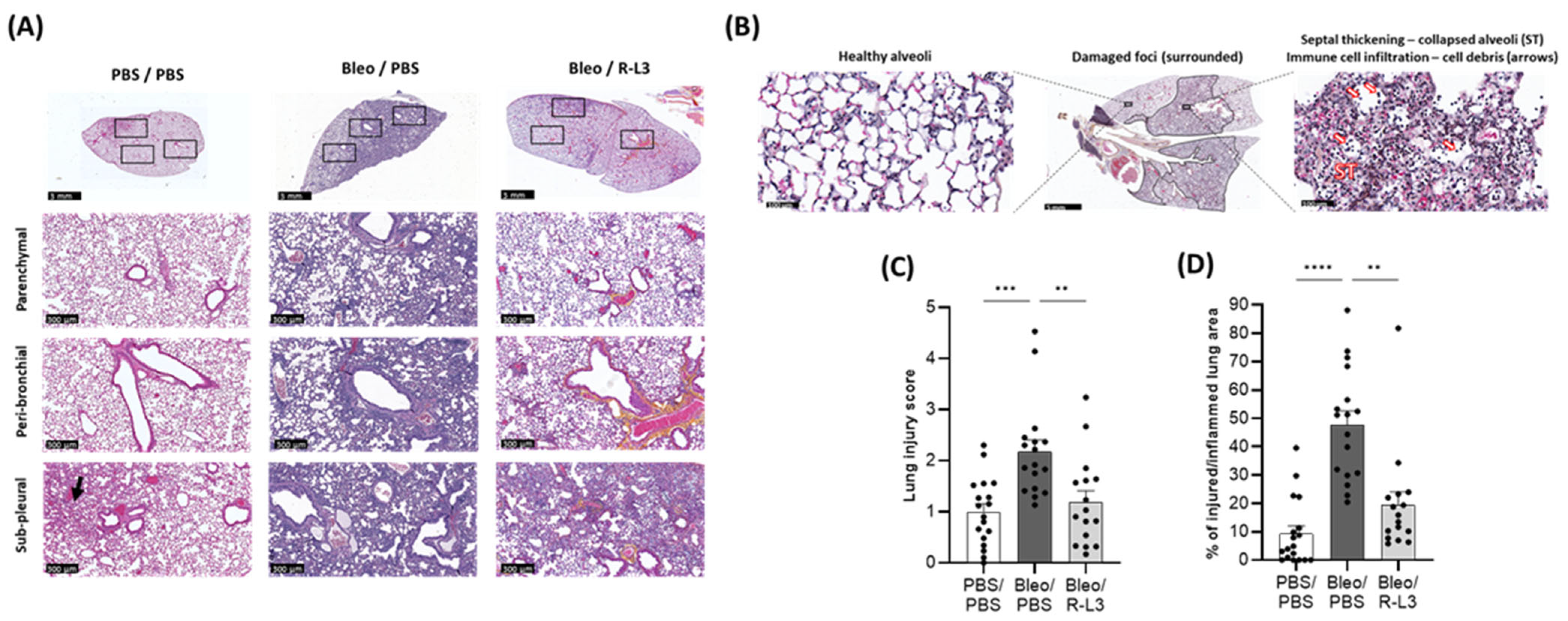 Ijms 26 07632 g005 Ijms 26 07632 g005