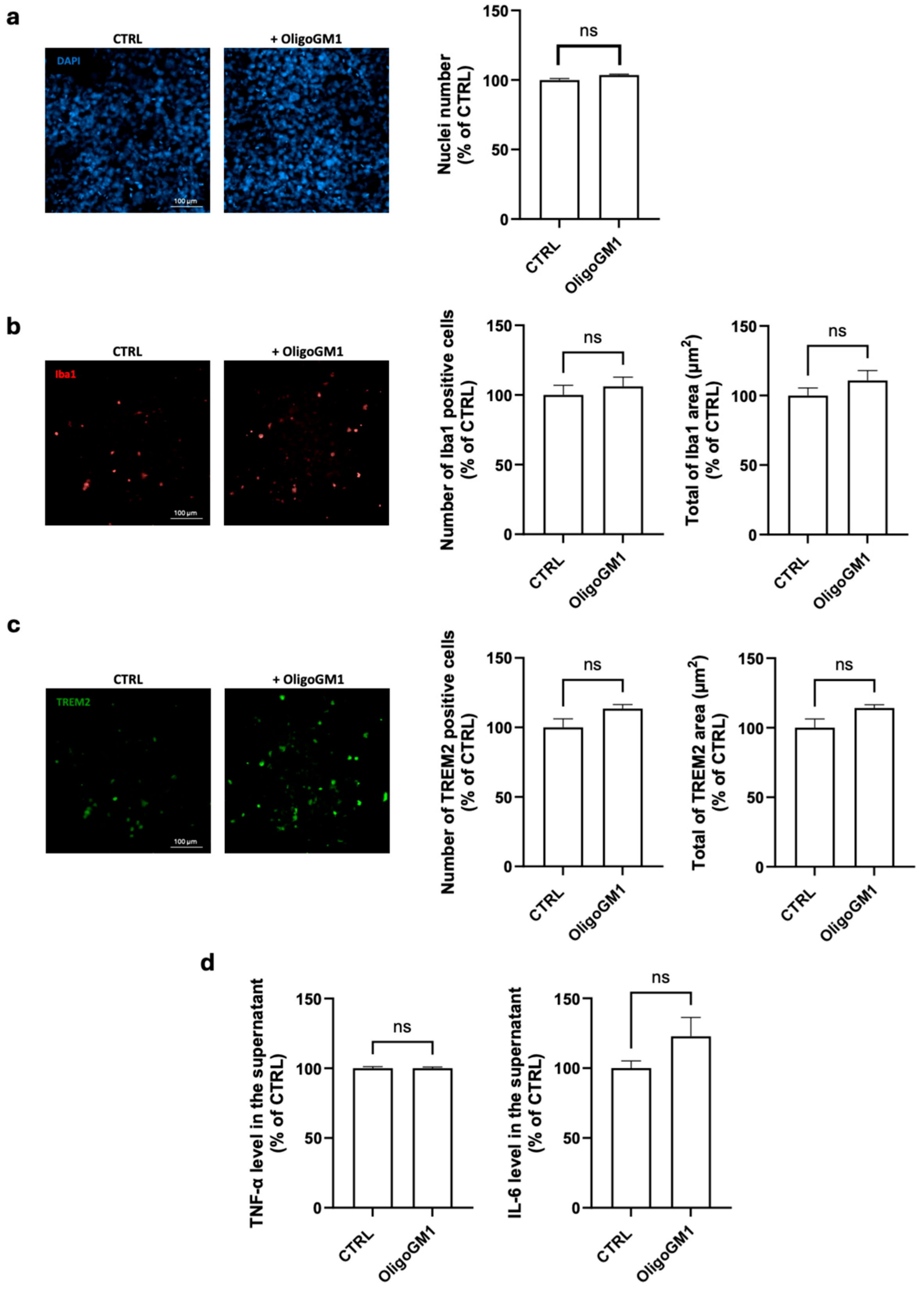 Ijms 26 07634 g001 Ijms 26 07634 g001
