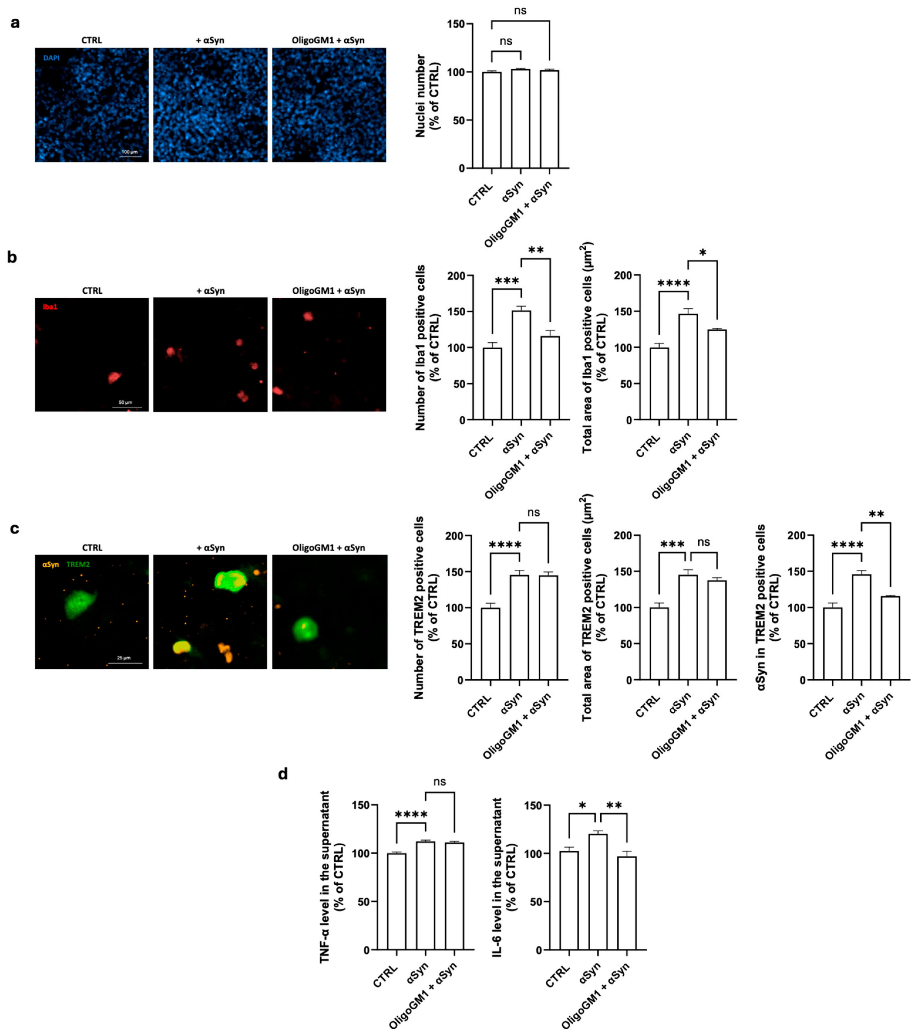 Ijms 26 07634 g002 Ijms 26 07634 g002