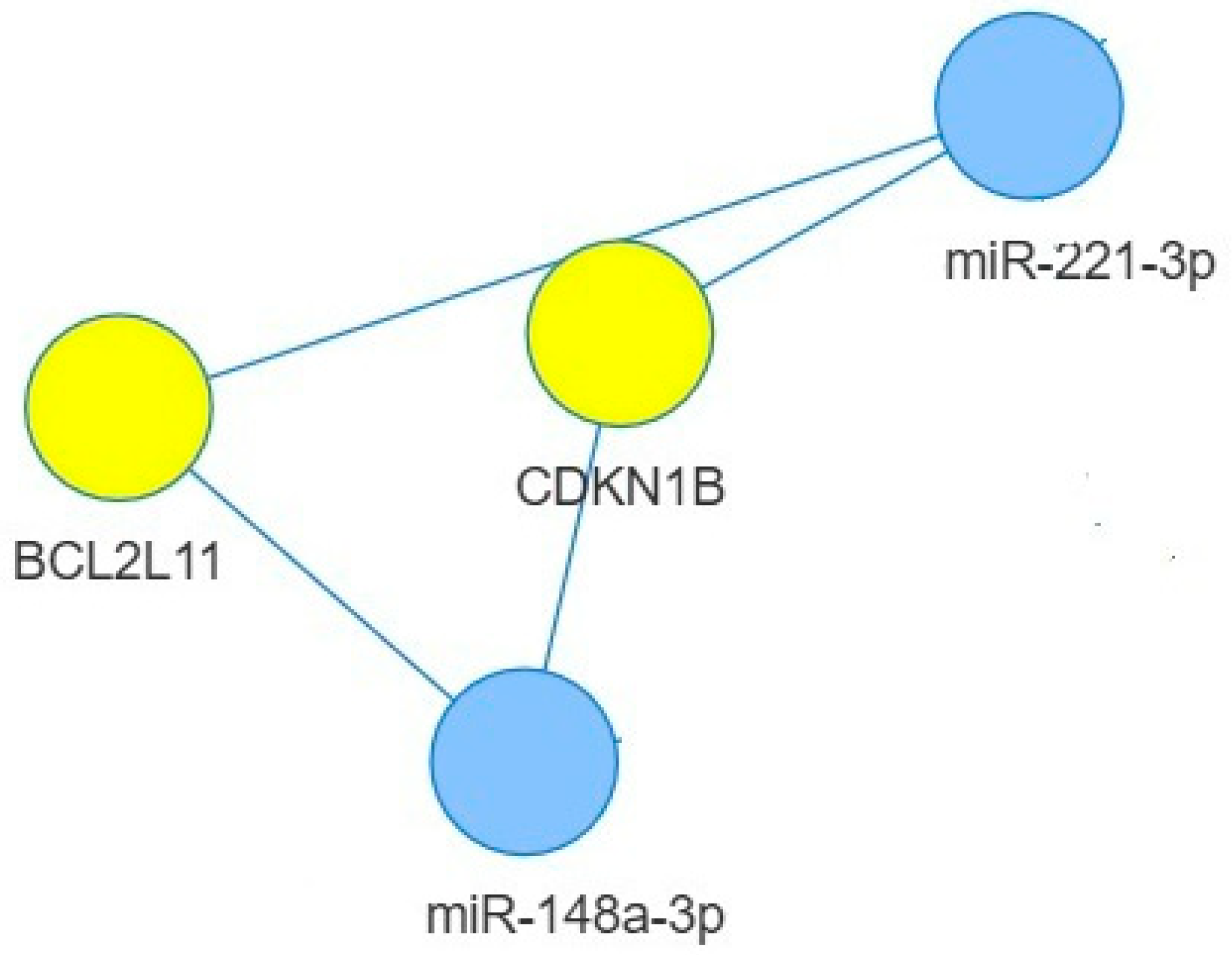 Ijms 26 07636 g003 Ijms 26 07636 g003