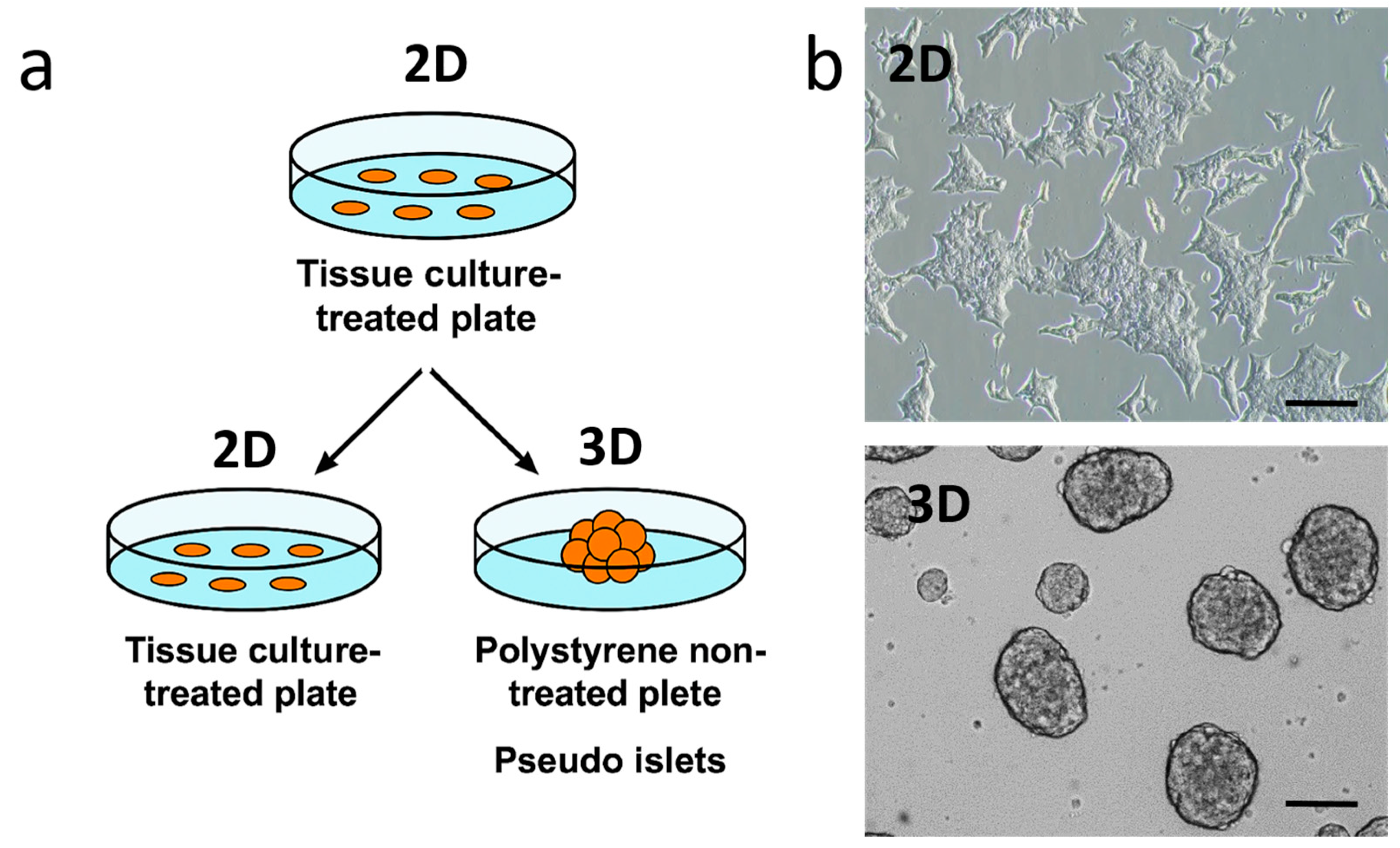 Ijms 26 07637 g001 Ijms 26 07637 g001