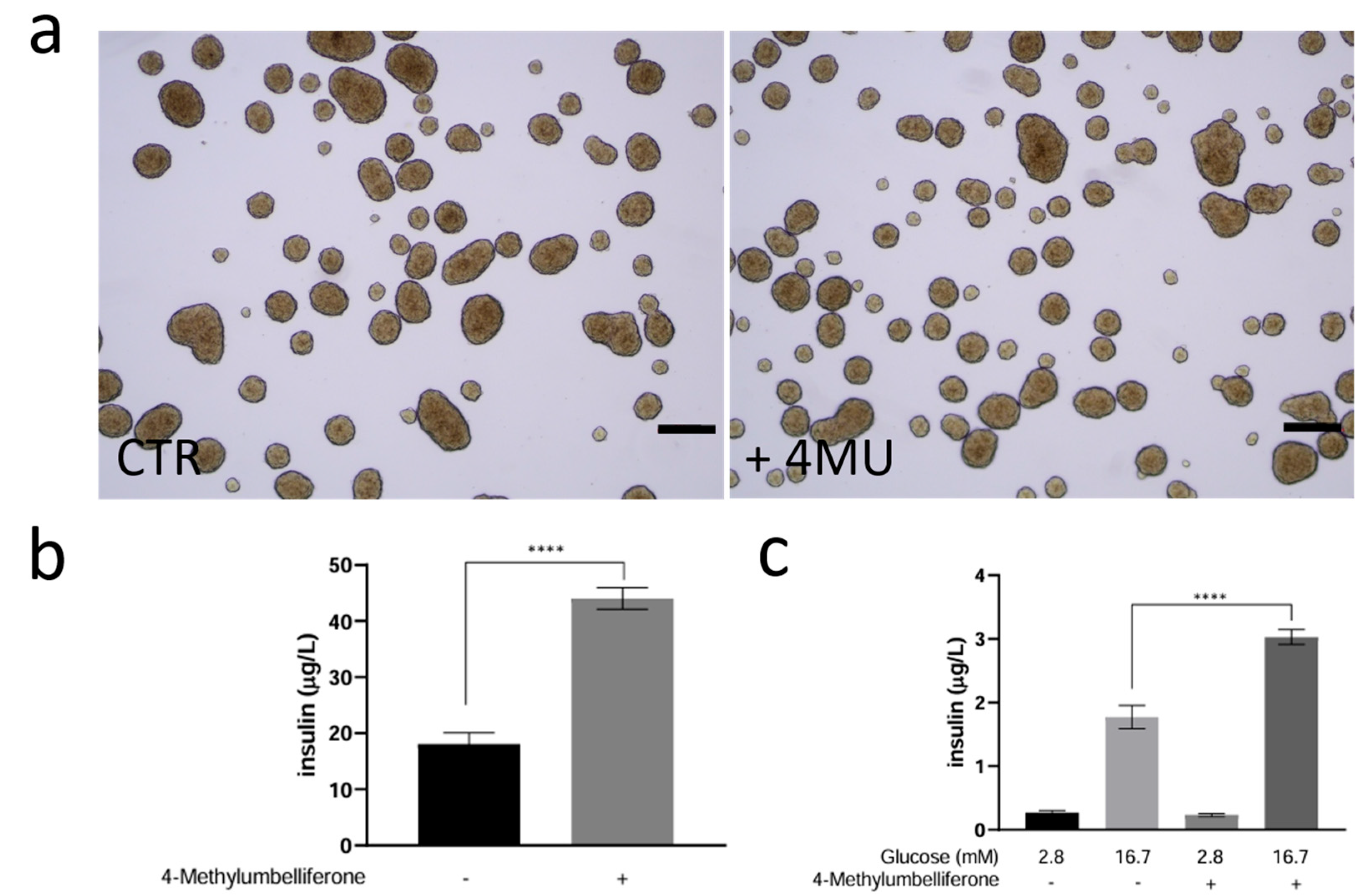 Ijms 26 07637 g004 Ijms 26 07637 g004