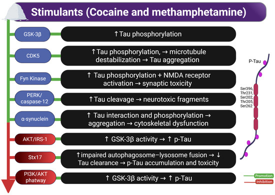 Substance Abuse and Cognitive Decline: The Critical Role of Tau