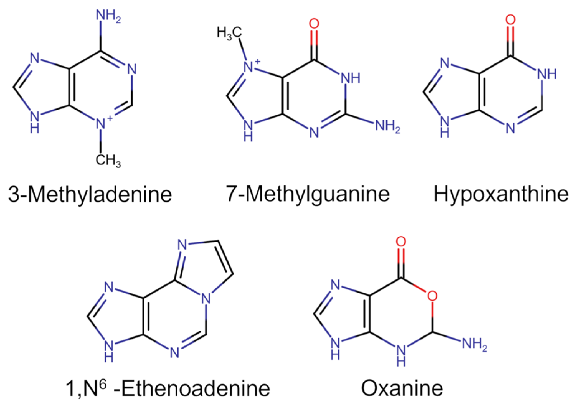 Ijms 26 07647 g002 Ijms 26 07647 g002