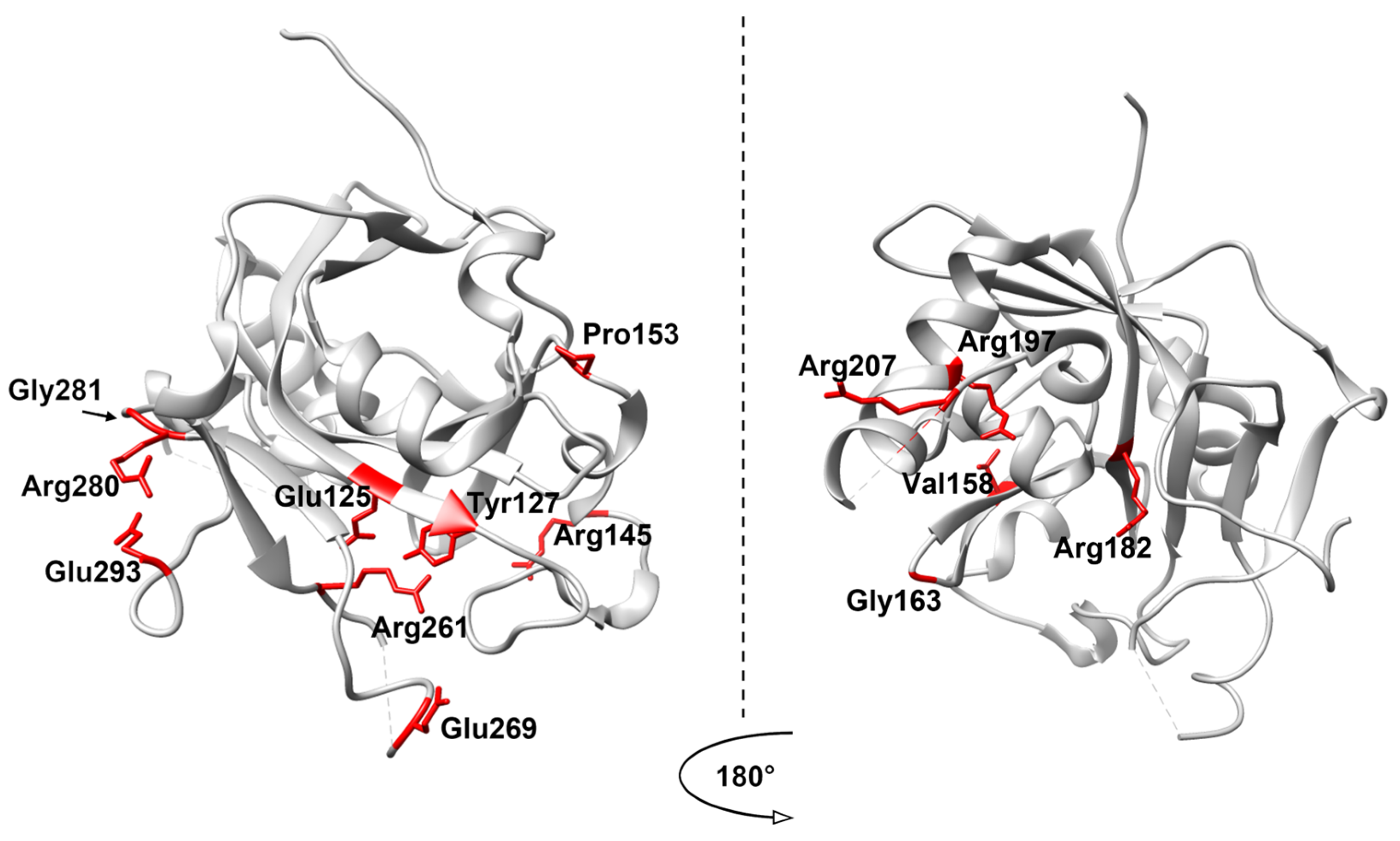 Ijms 26 07647 g003 Ijms 26 07647 g003