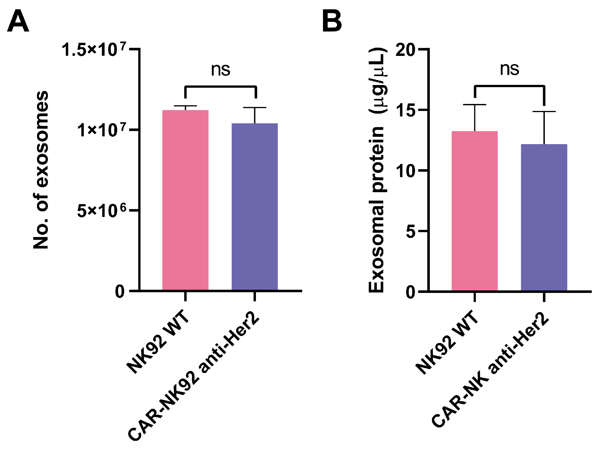 Ijms 26 07648 g006 Ijms 26 07648 g006