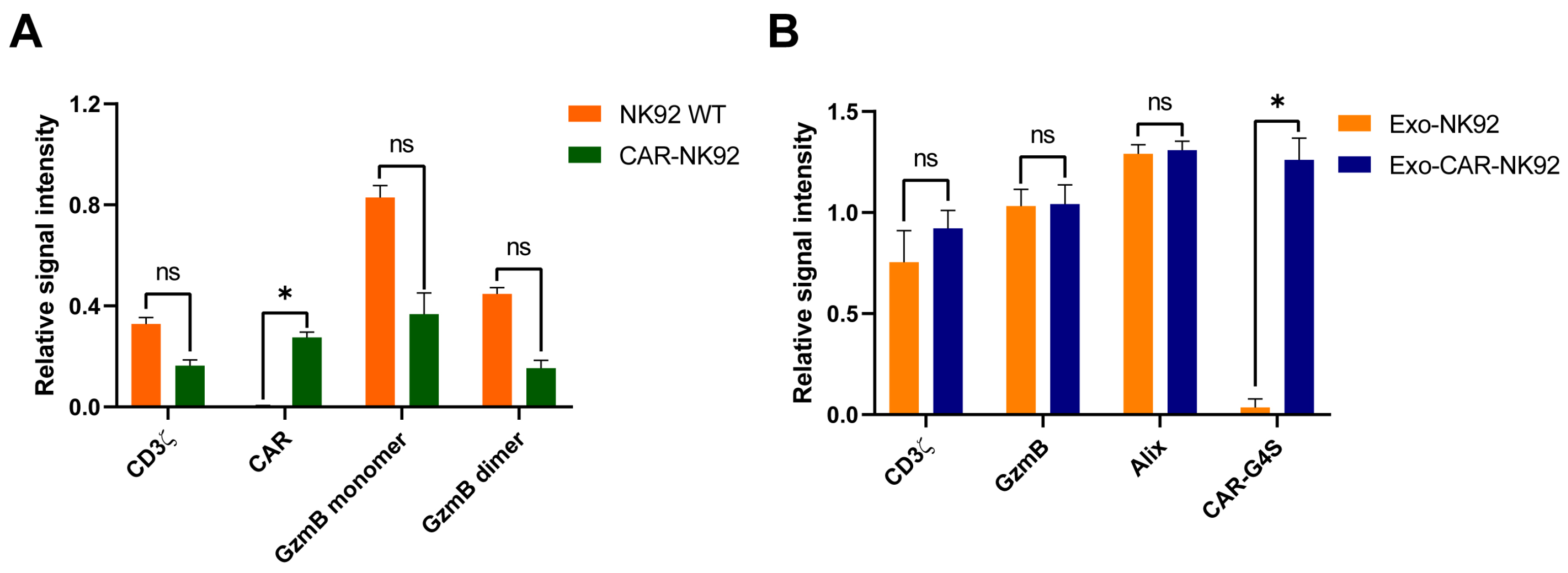 Ijms 26 07648 g008 Ijms 26 07648 g008