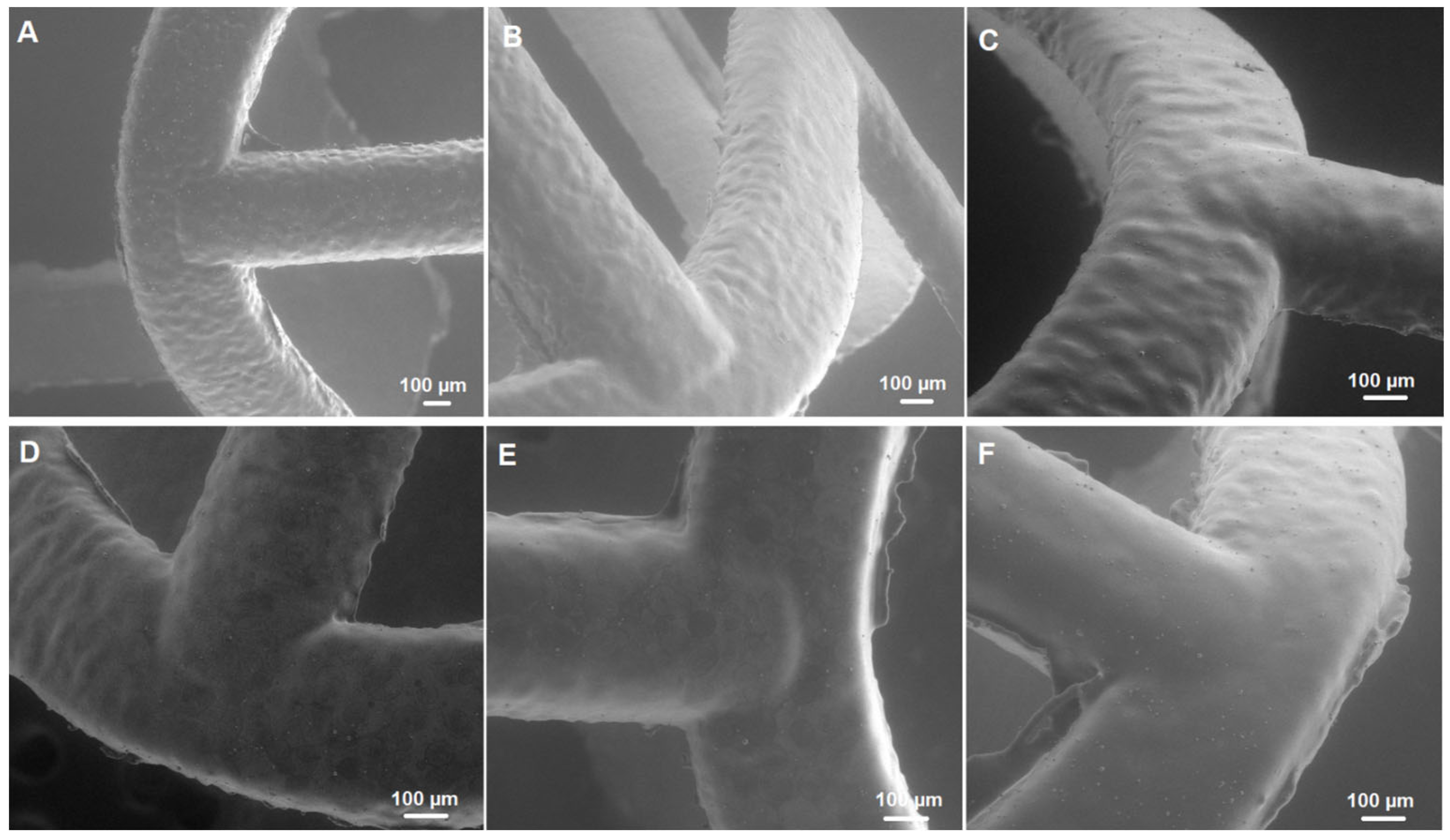 Ijms 26 07649 g002 Ijms 26 07649 g002