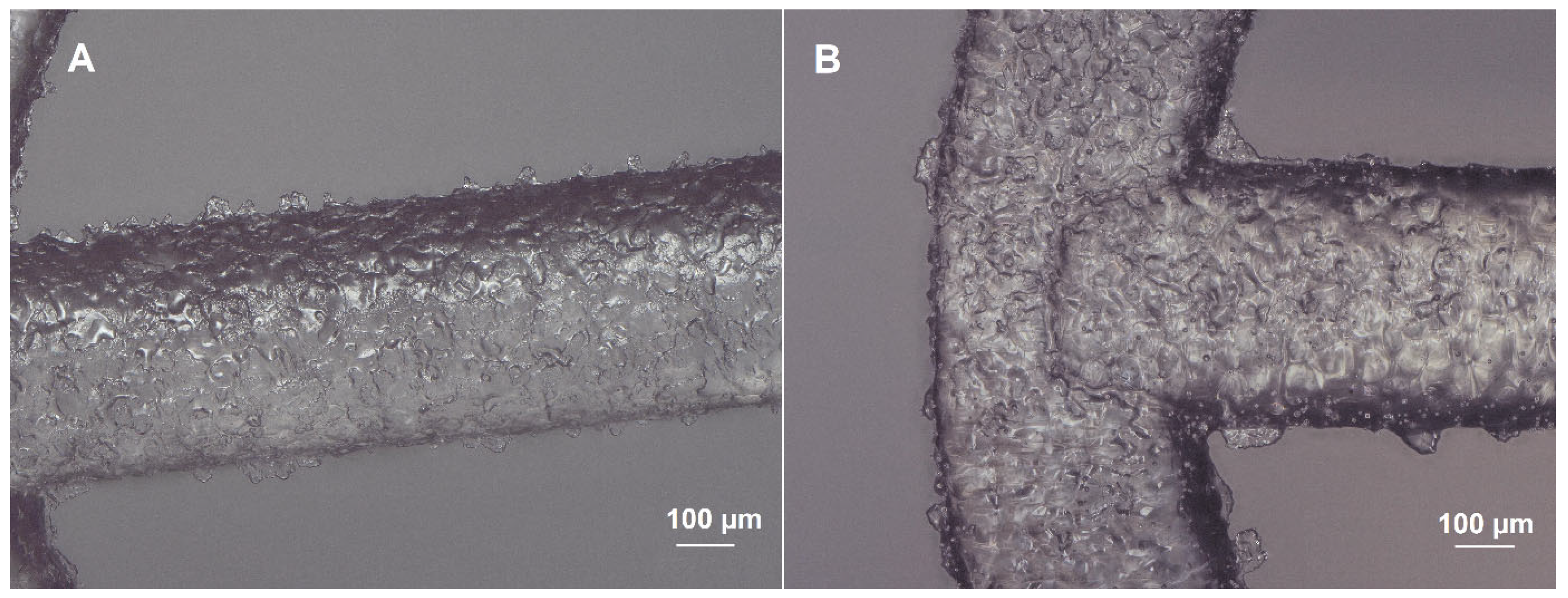 Ijms 26 07649 g003 Ijms 26 07649 g003