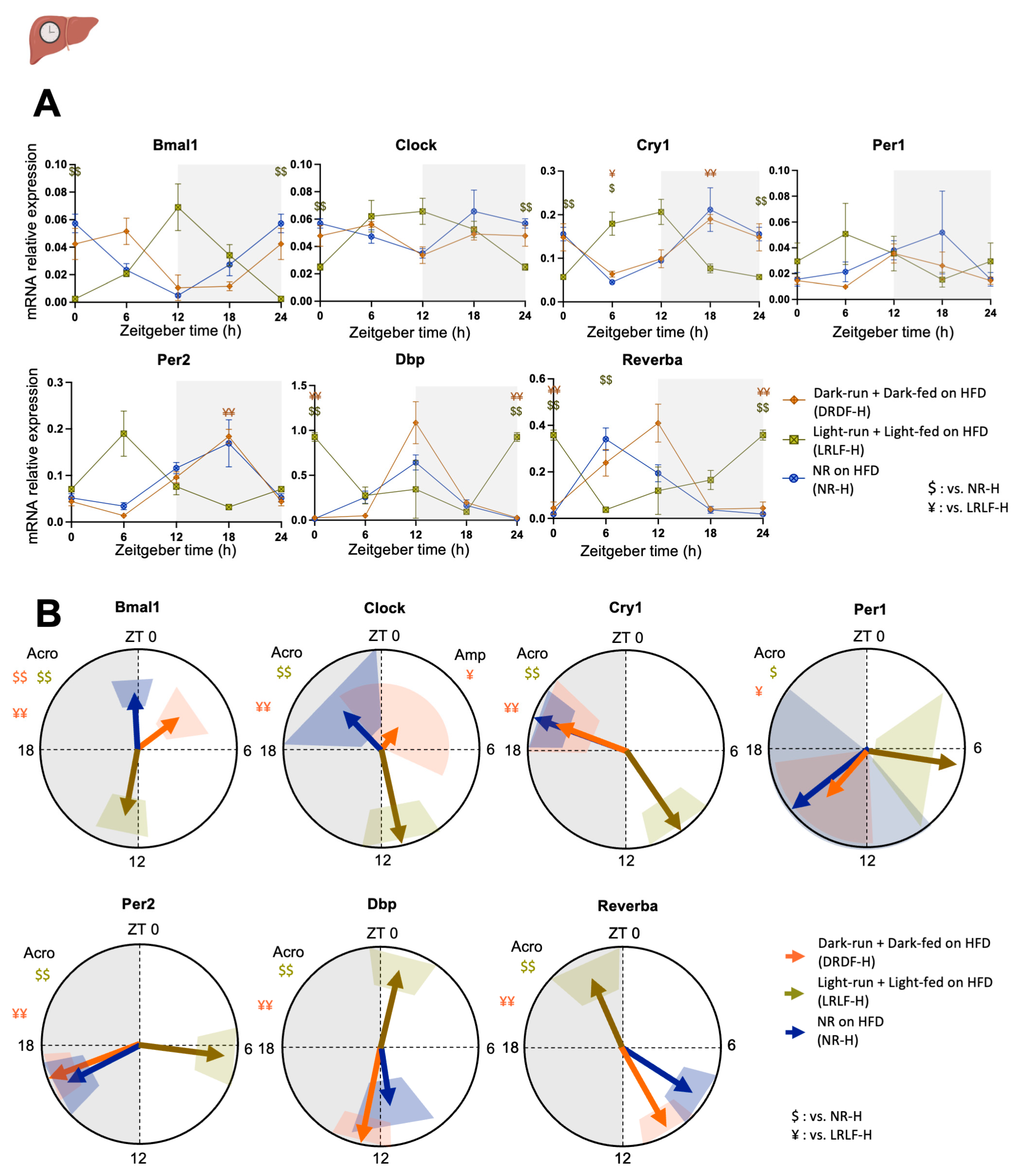 Ijms 26 07658 g002 Ijms 26 07658 g002