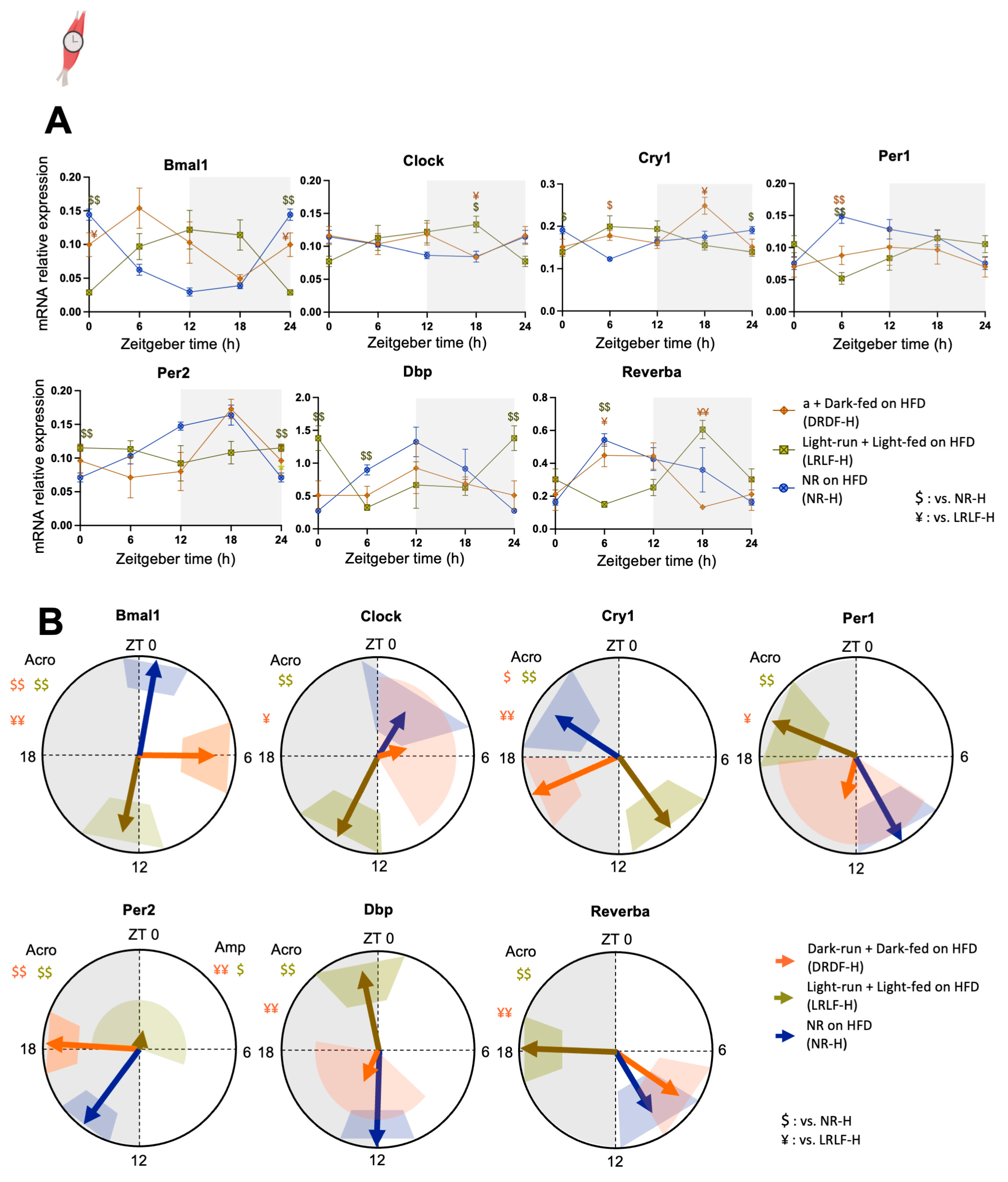 Ijms 26 07658 g003 Ijms 26 07658 g003