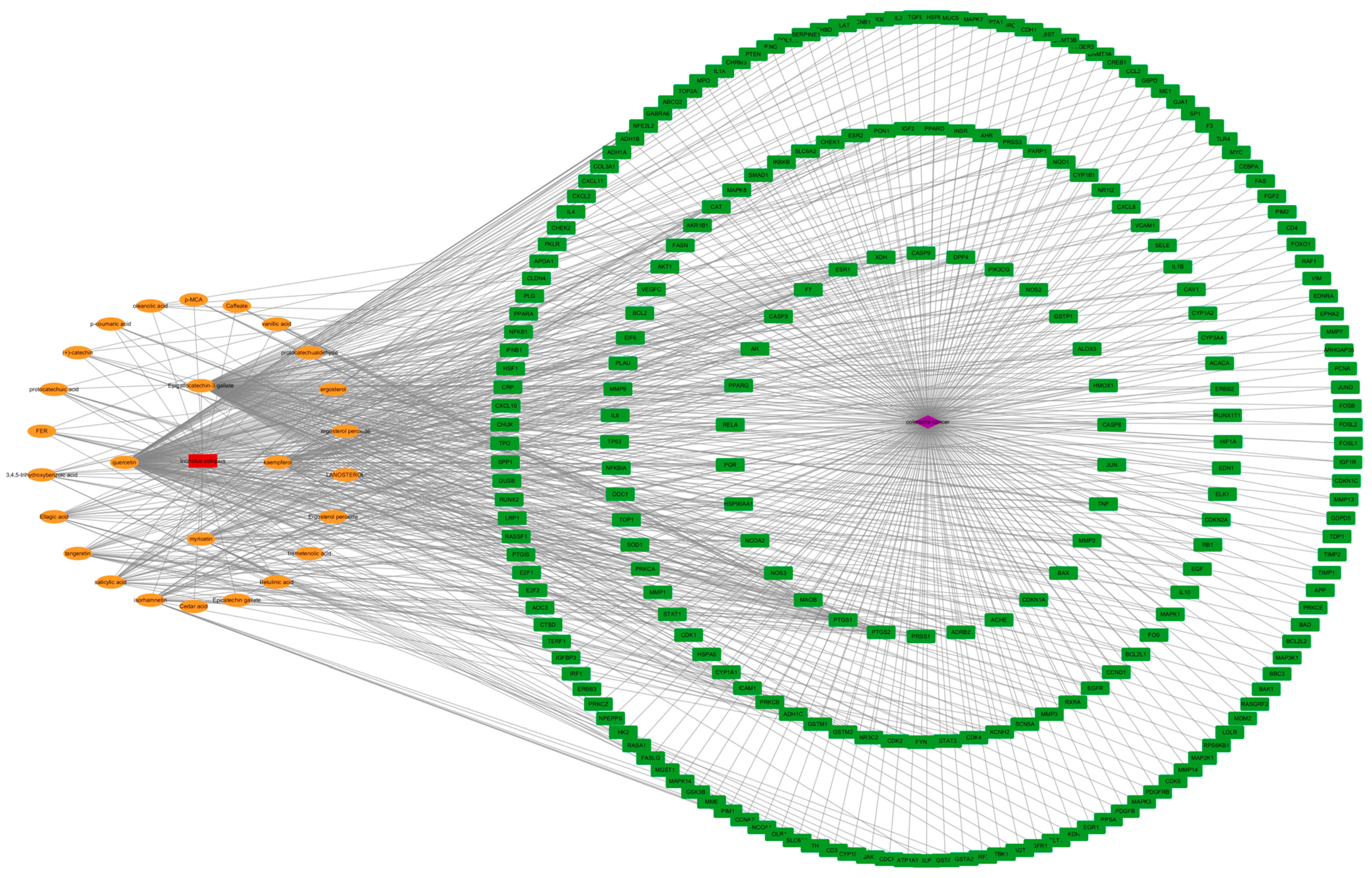 Ijms 26 07664 g002 Ijms 26 07664 g002