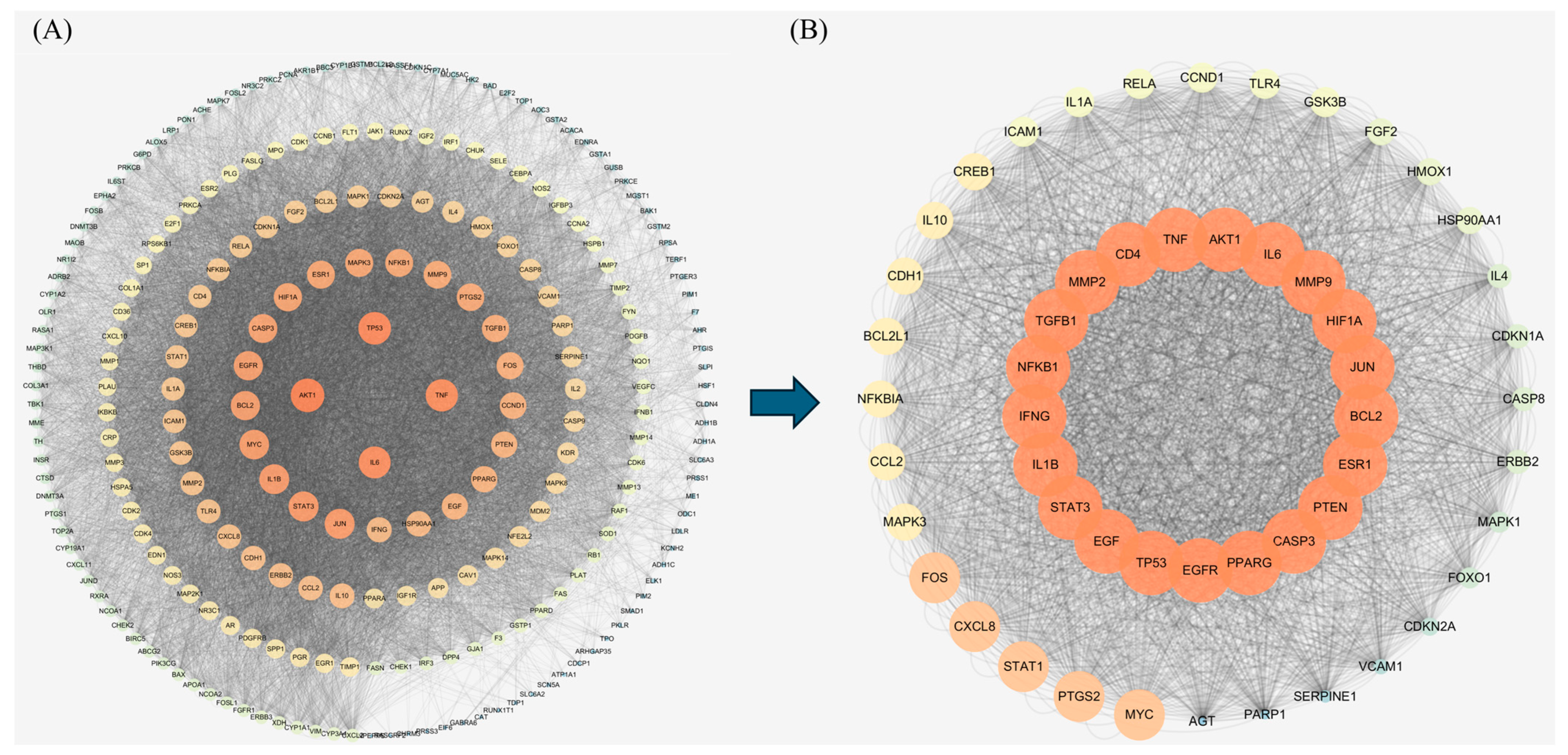 Ijms 26 07664 g004 Ijms 26 07664 g004