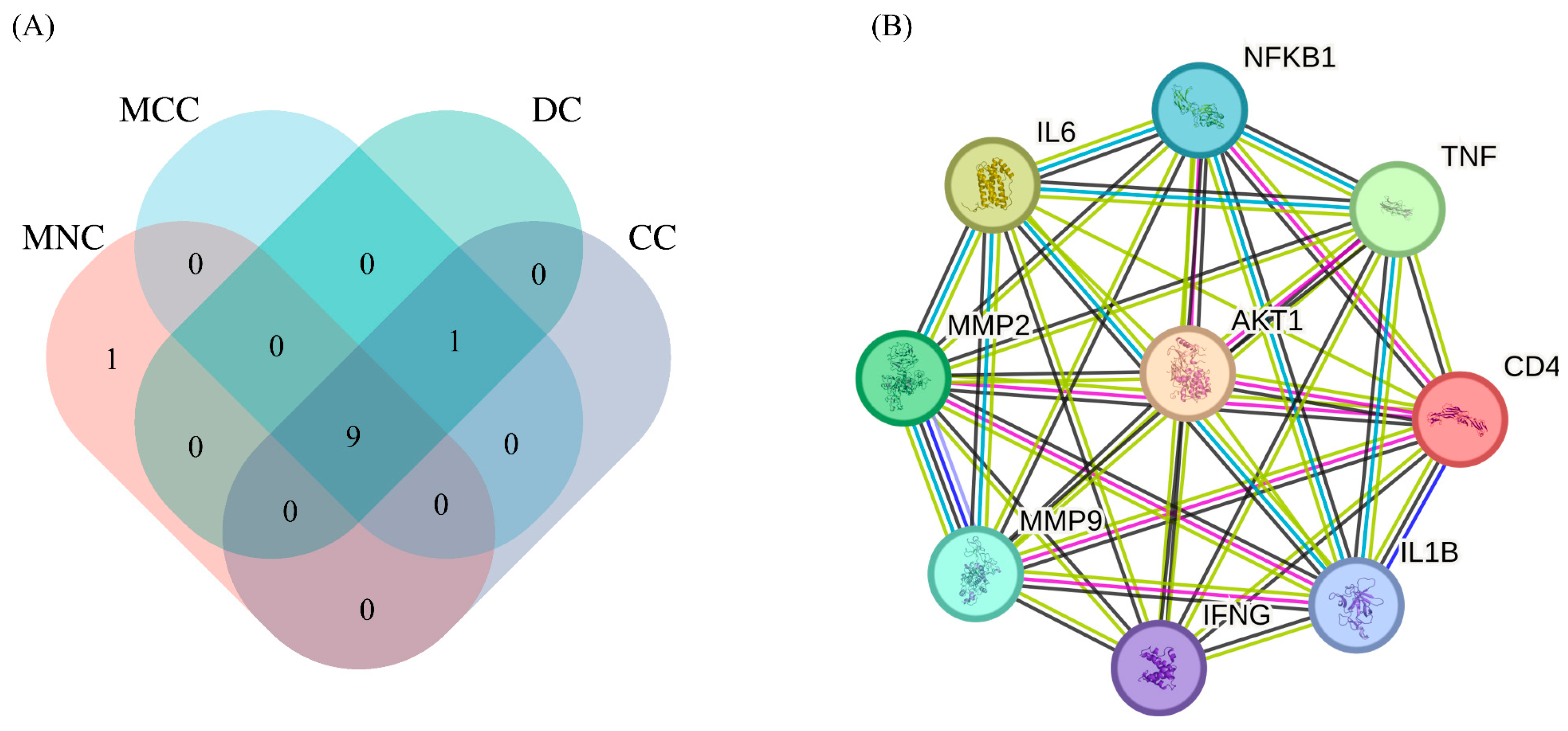 Ijms 26 07664 g005 Ijms 26 07664 g005