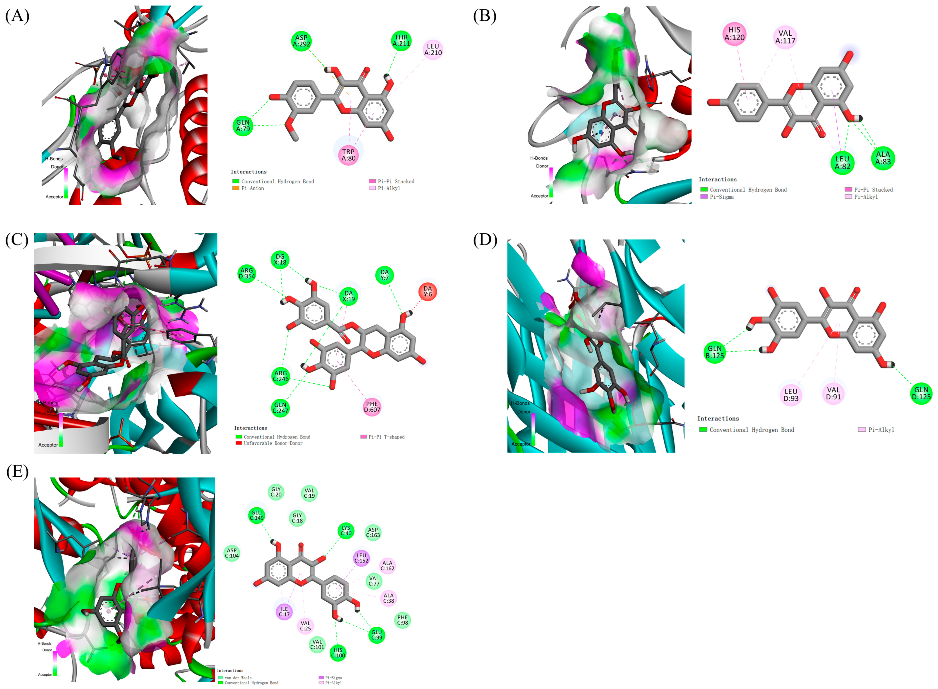 Ijms 26 07664 g008 Ijms 26 07664 g008