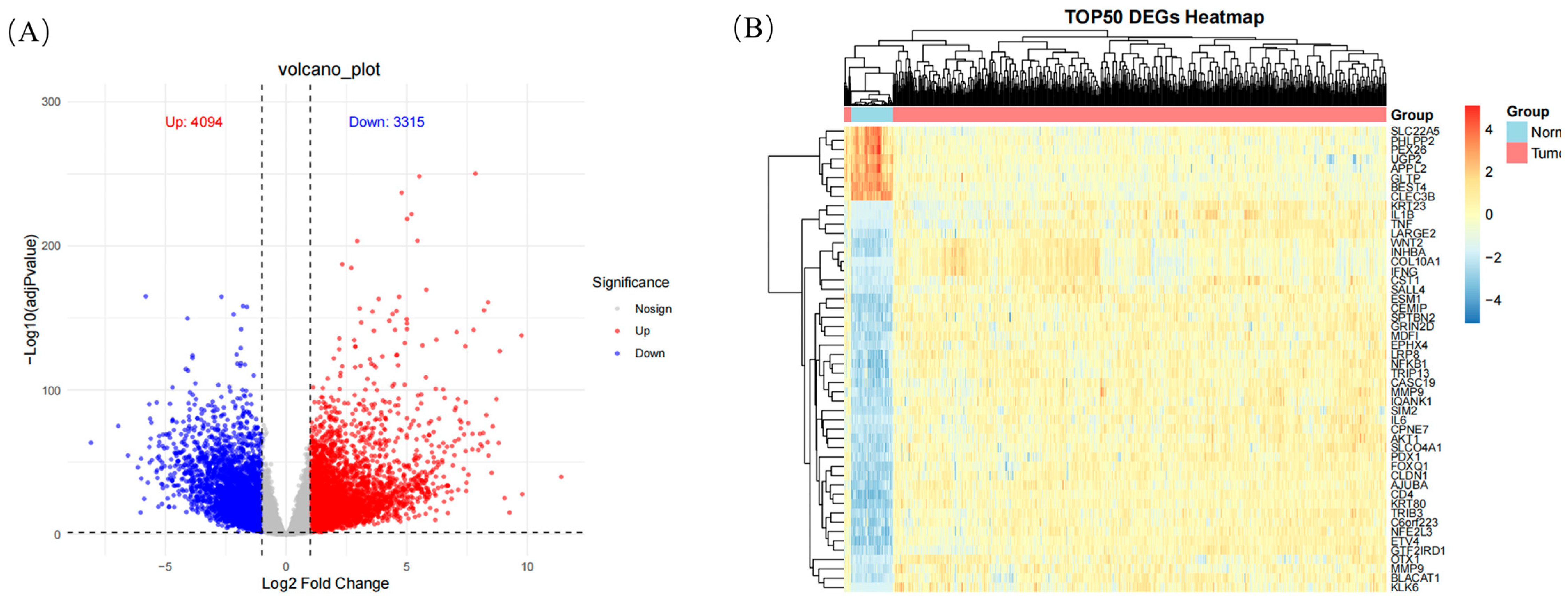 Ijms 26 07664 g009 Ijms 26 07664 g009