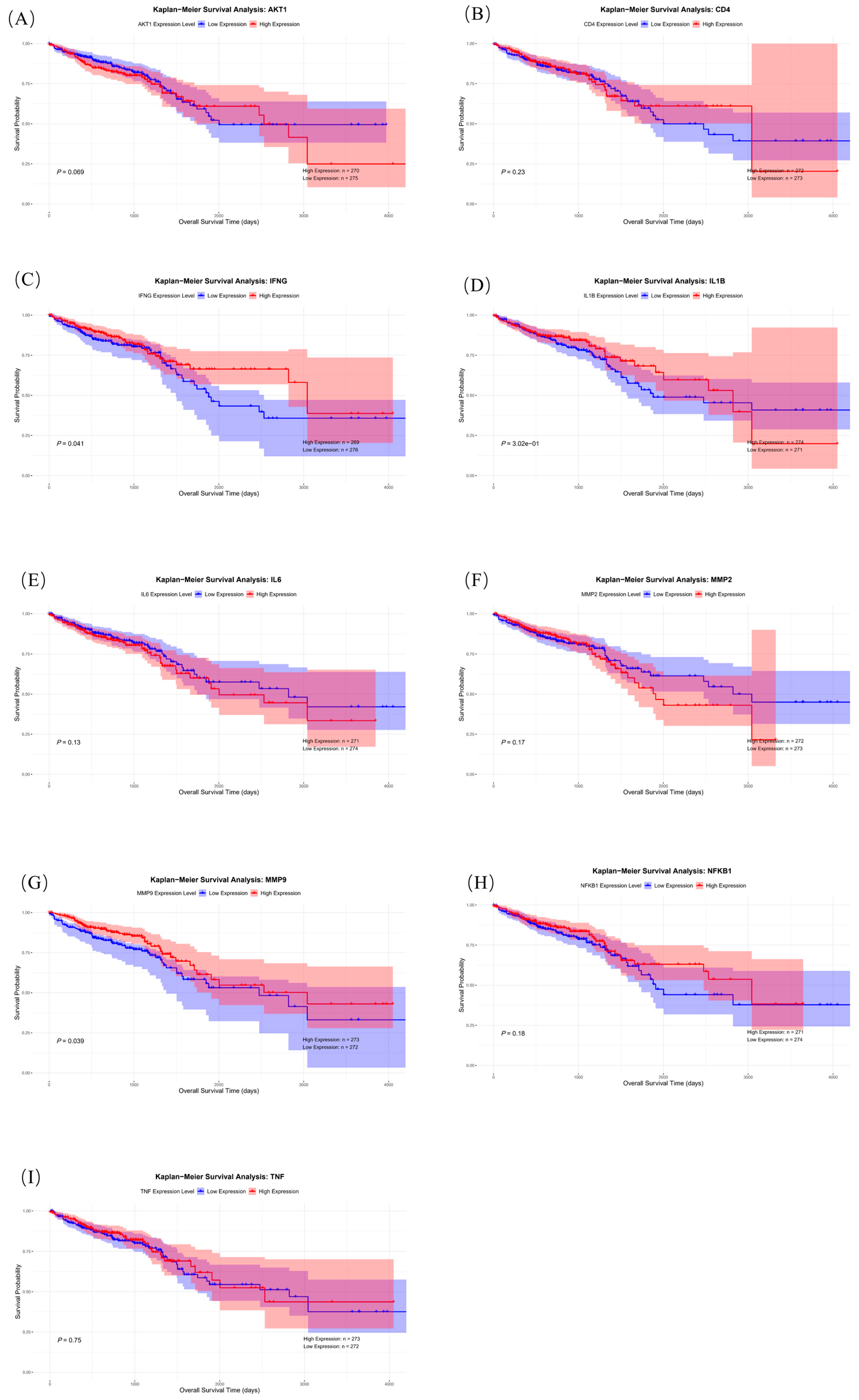 Ijms 26 07664 g011 Ijms 26 07664 g011