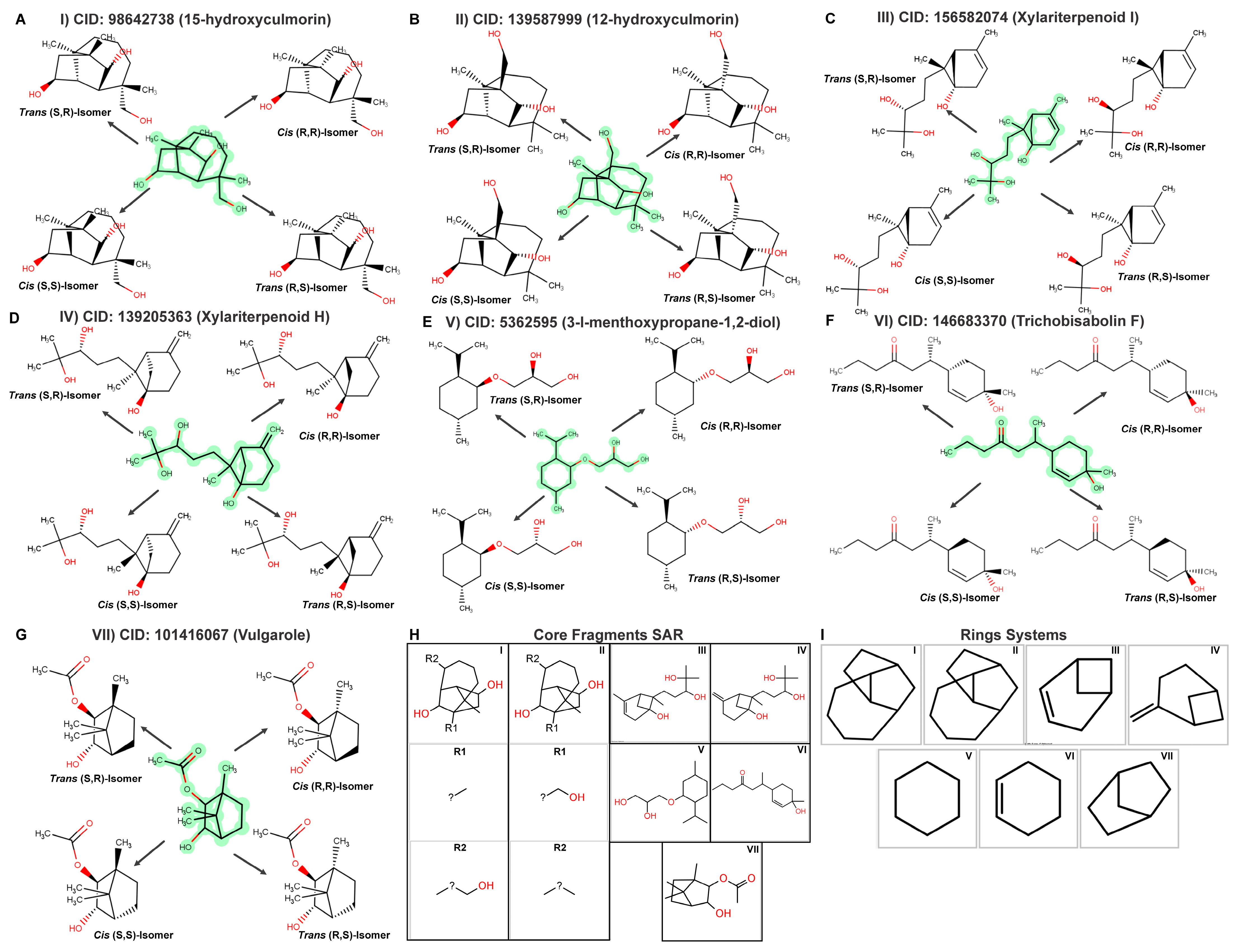 Ijms 26 07671 g004 Ijms 26 07671 g004