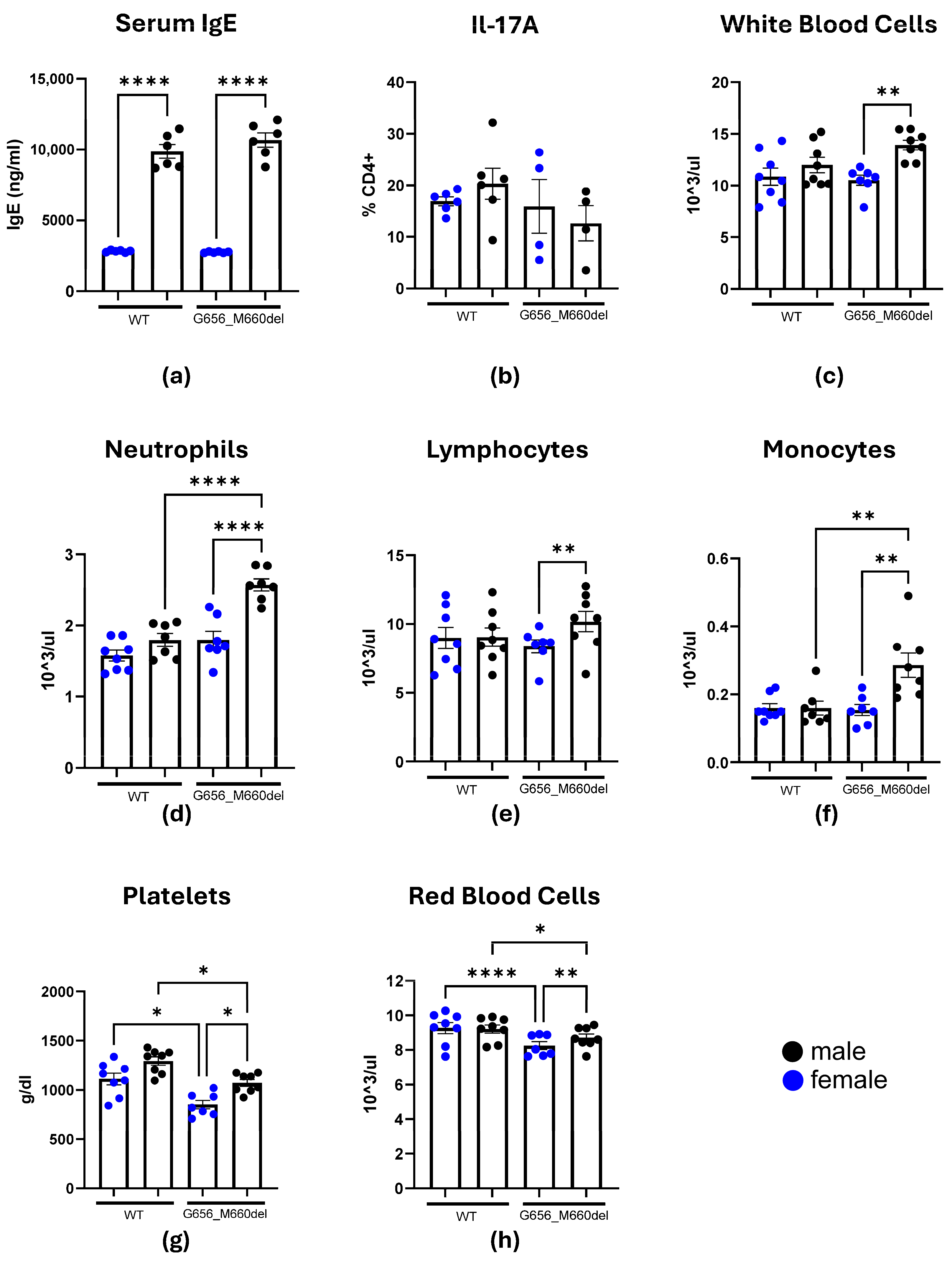 Ijms 26 07675 g001 Ijms 26 07675 g001